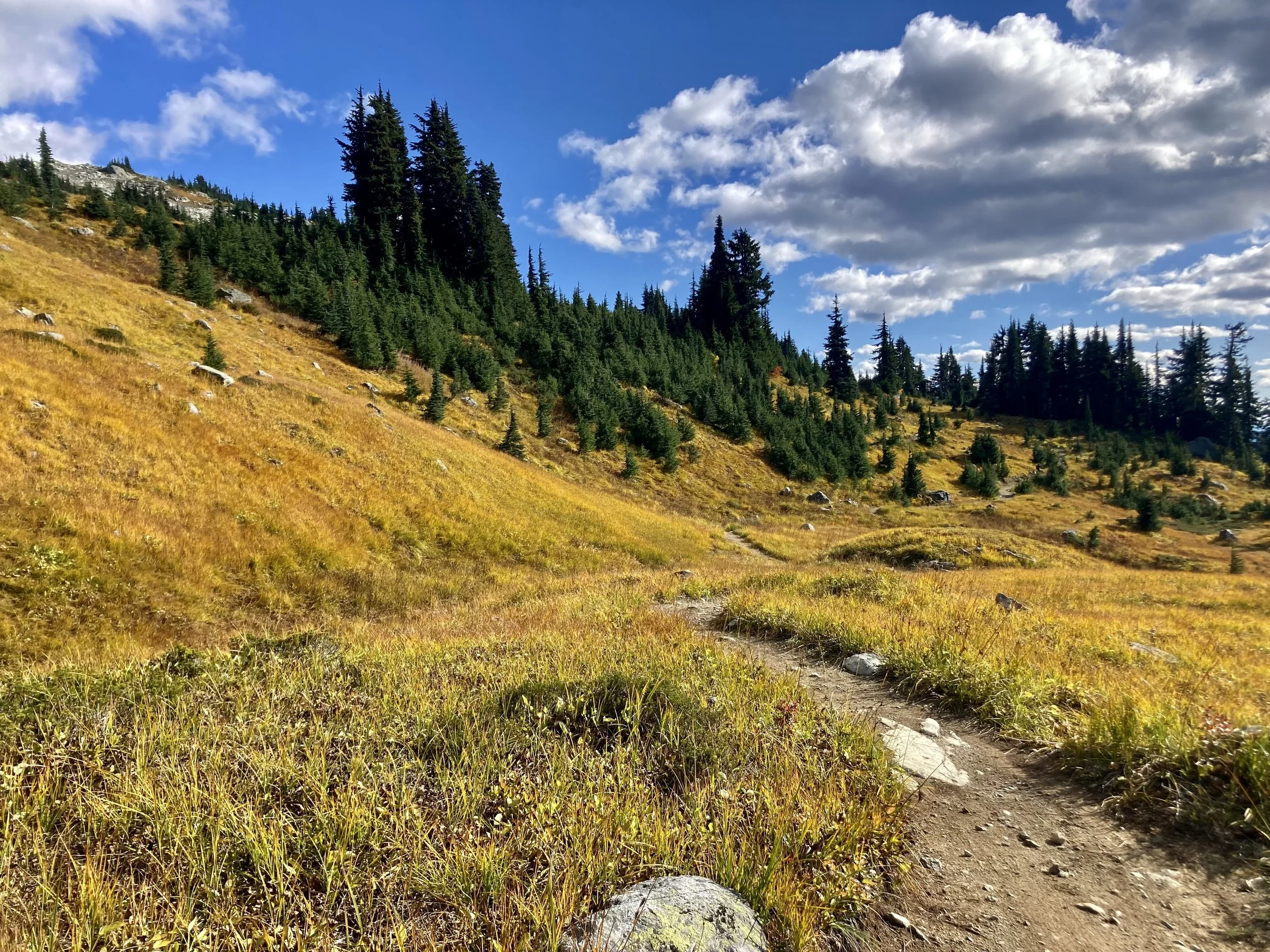 Trails Update: October 5th, 2023