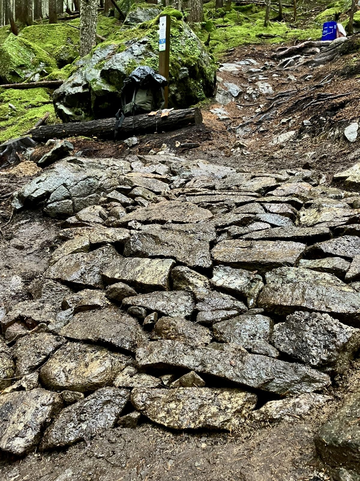 Trails Update: November 11th, 2023 