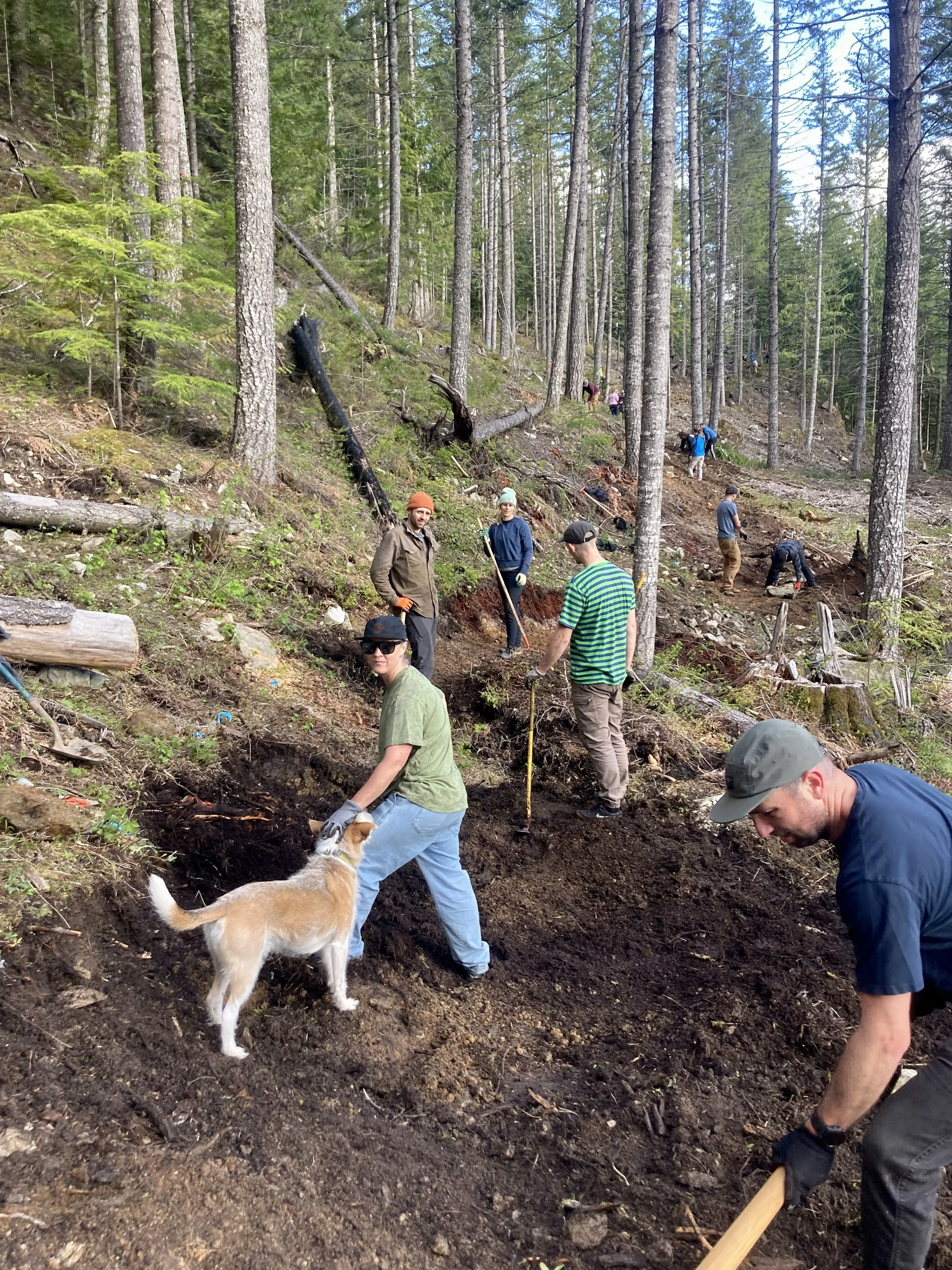 Trails Update: May 10, 2024