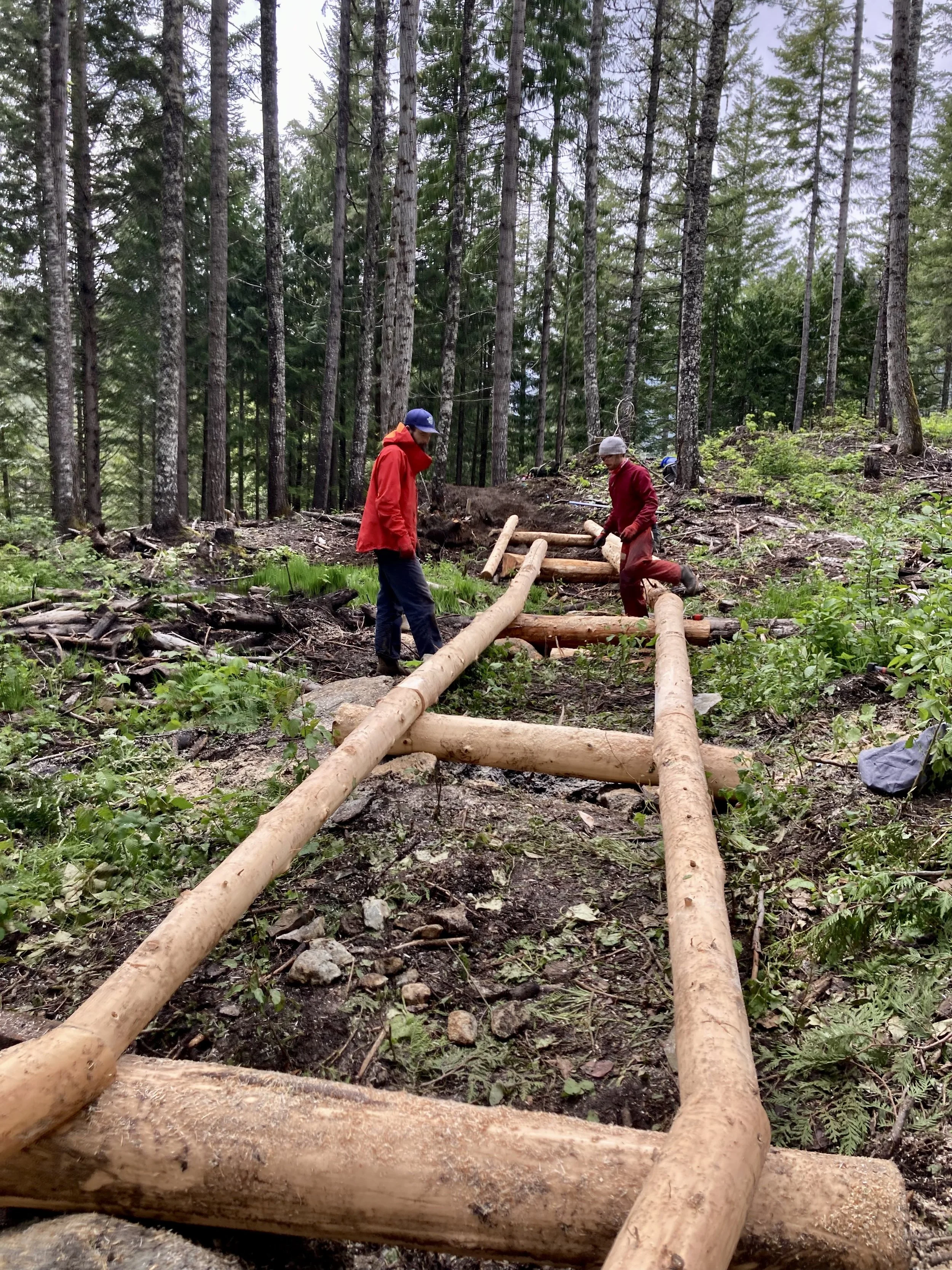 Trails Update: June 7, 2024