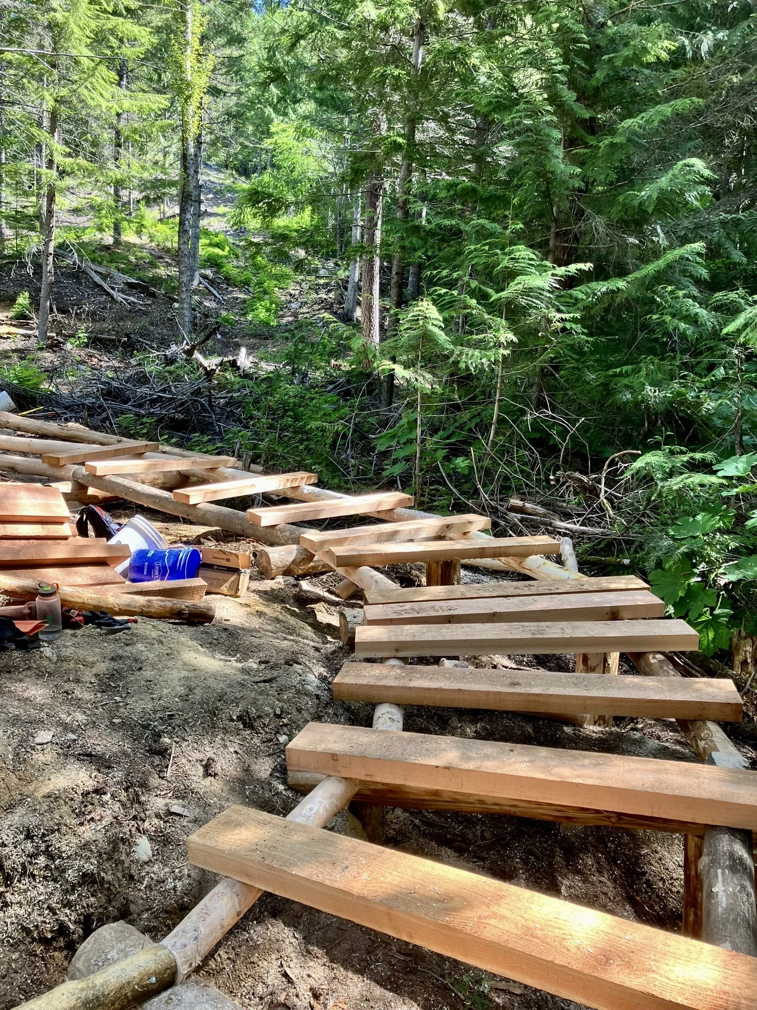 Trails Update: July 5, 2024