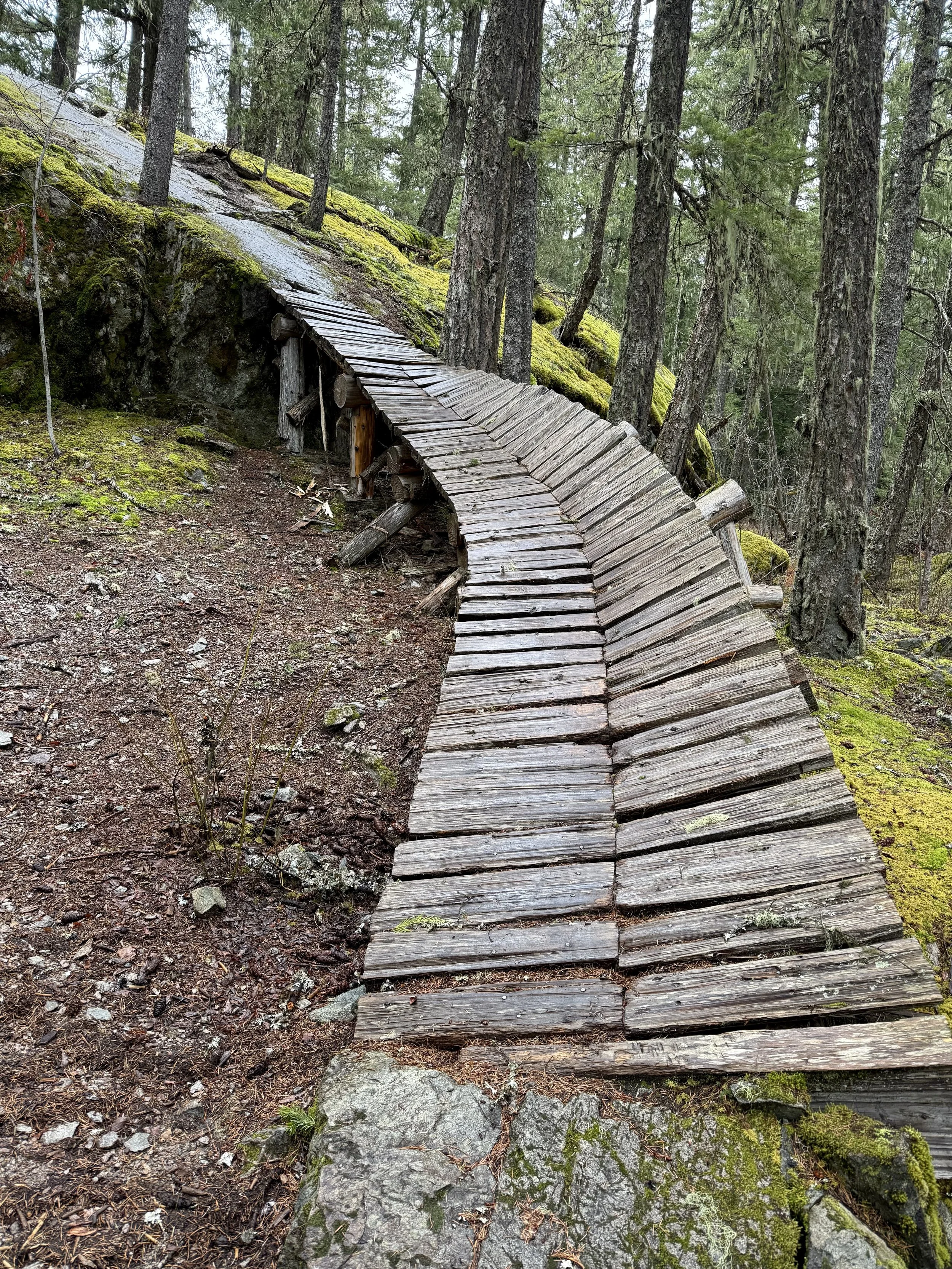 Trails Update: April 11, 2025