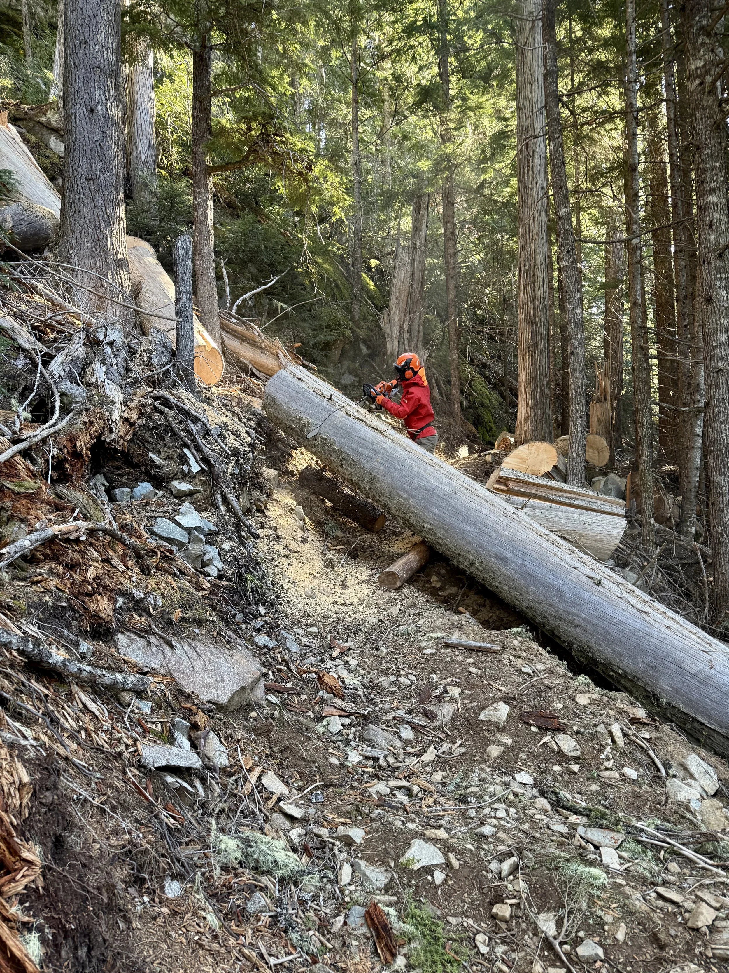 Trails Update: April 25, 2025