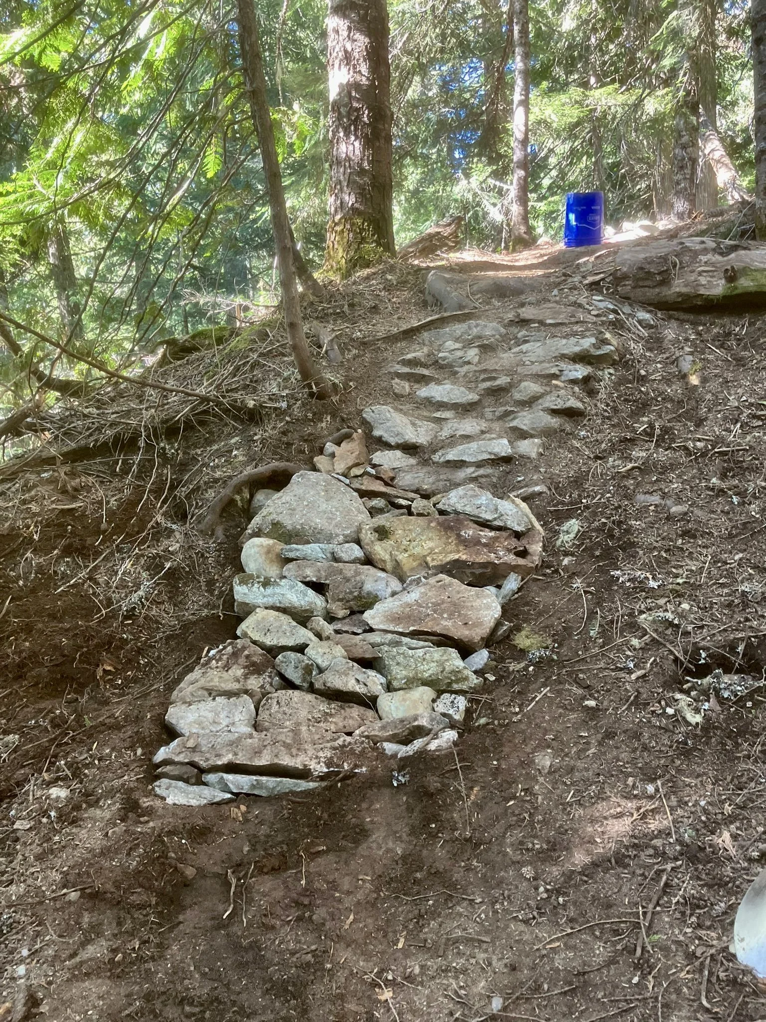 Trails Update: June 12, 2025