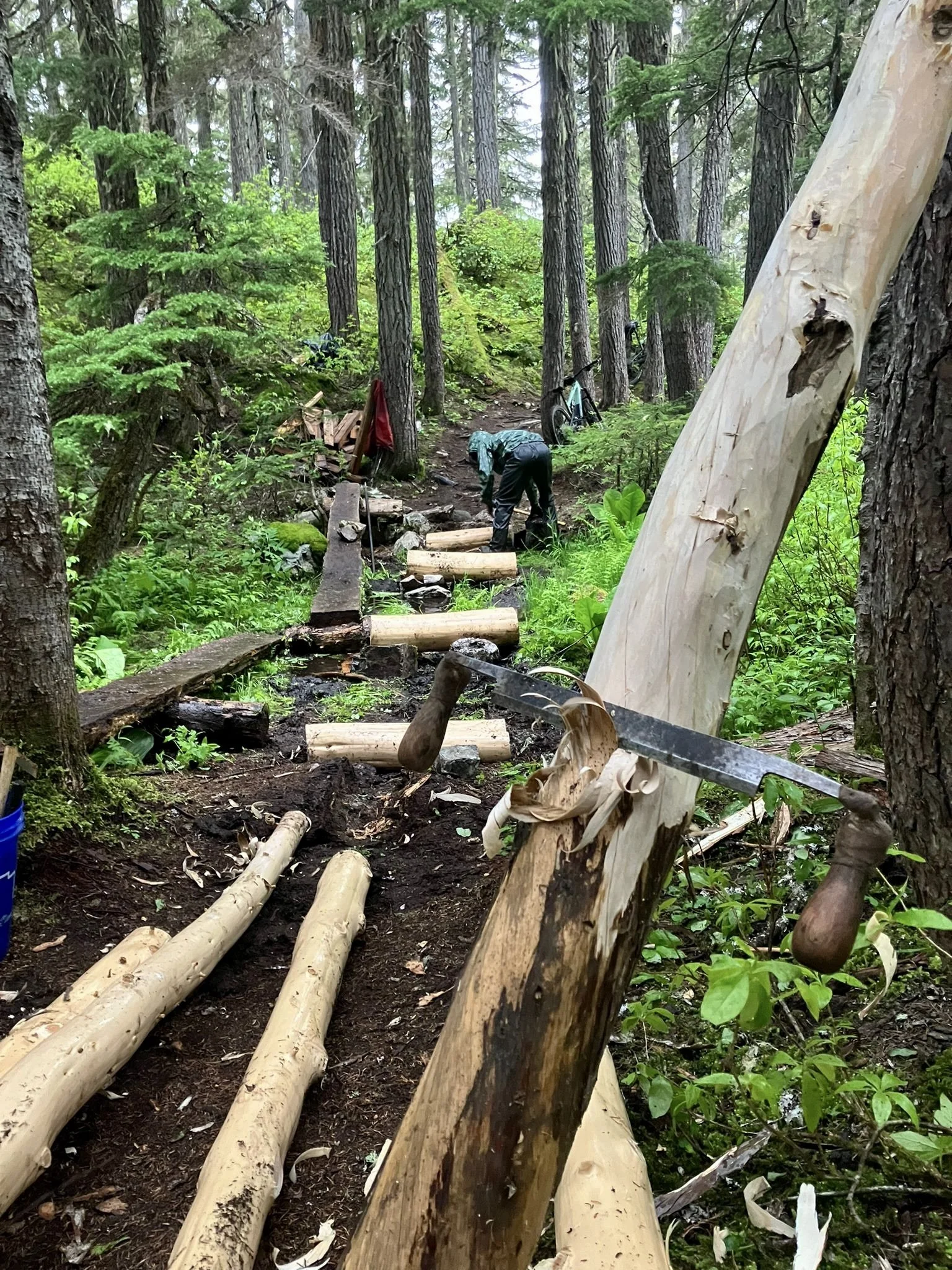 Trails Update: June 20, 2025