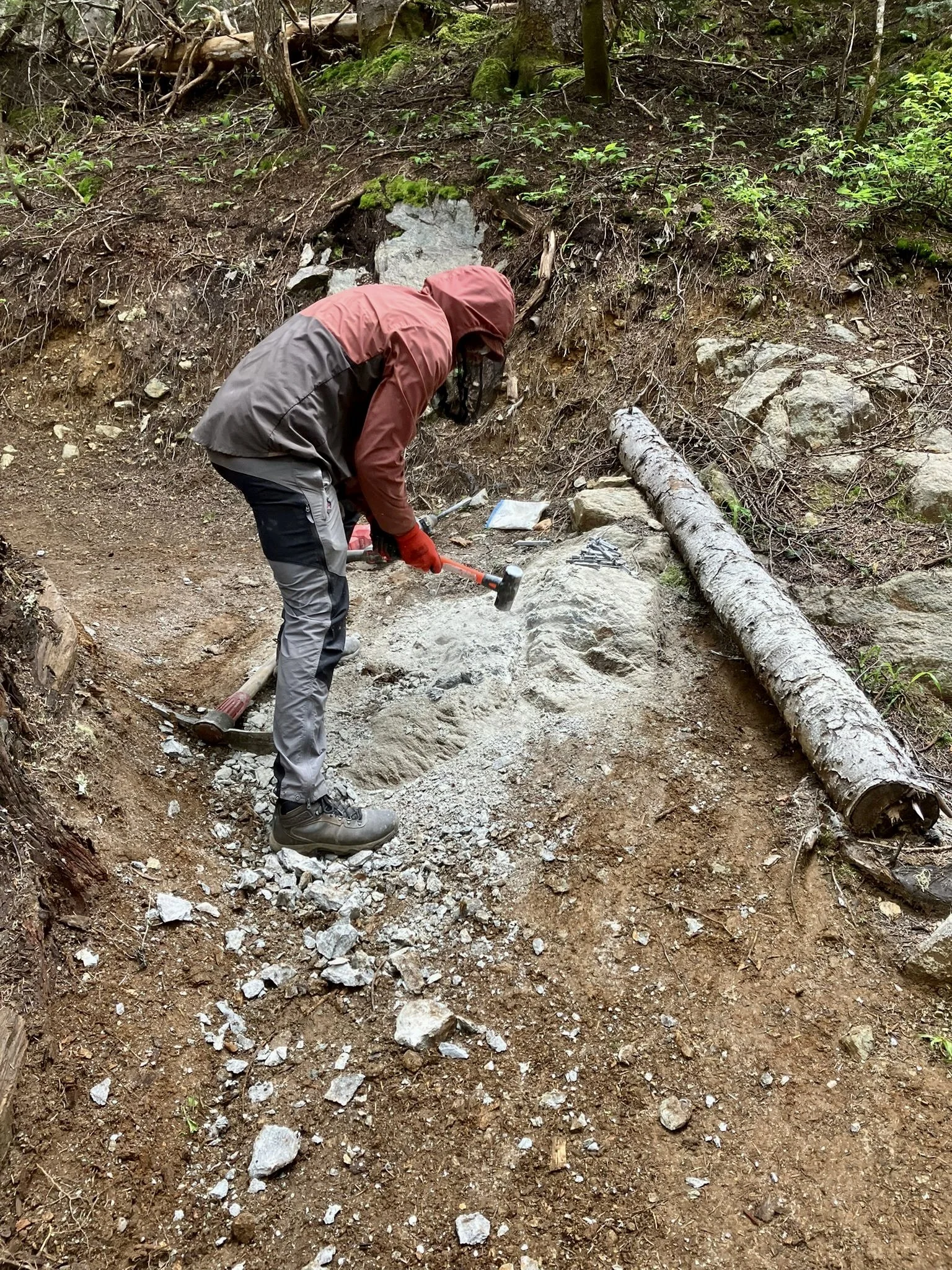 Trails Update: June 27, 2025