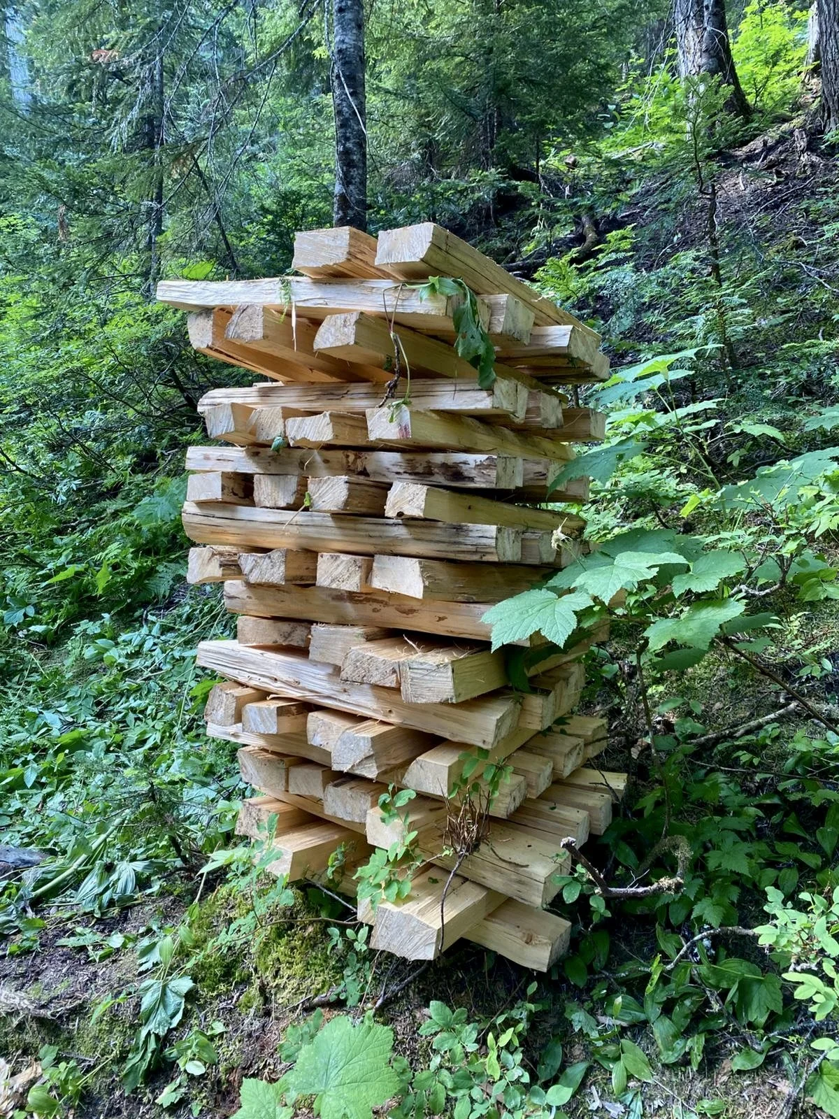 Trails Update: July 25, 2025