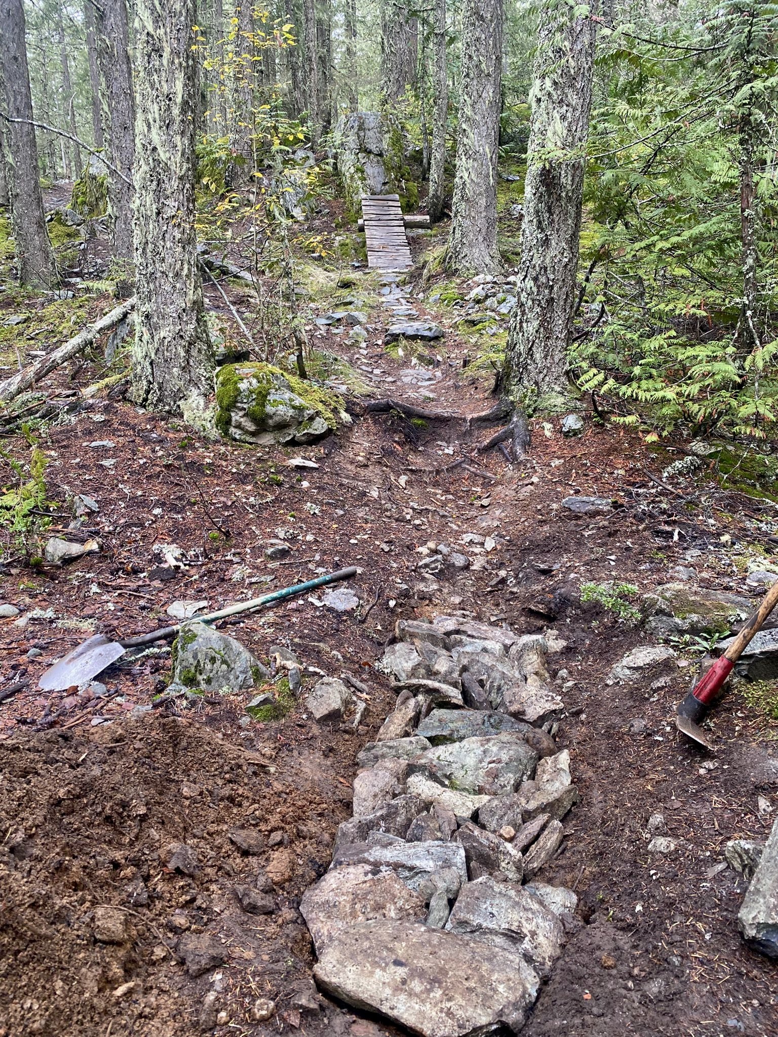 Trails Update: October 24, 2025