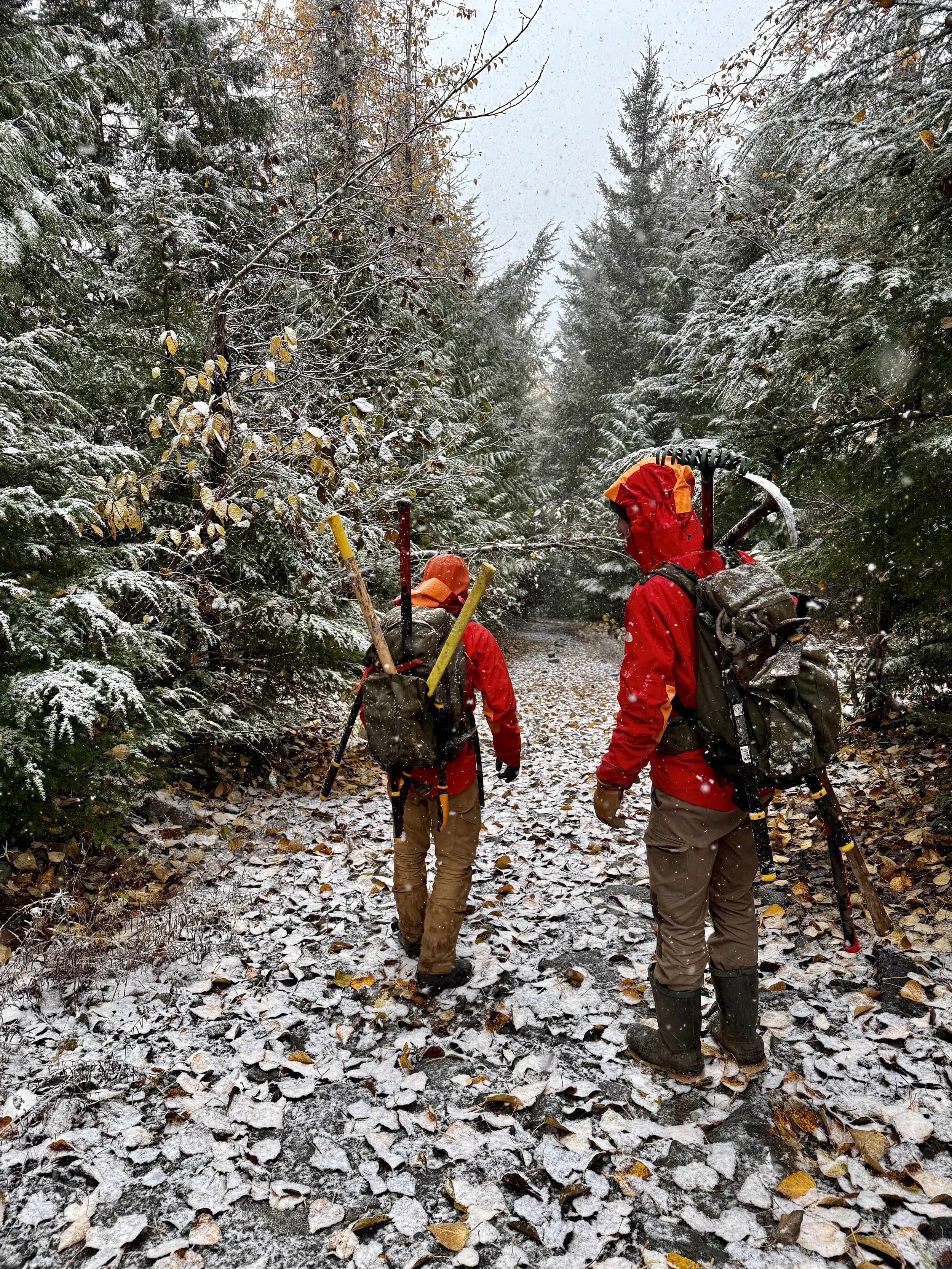 Trails Update: October 31, 2025