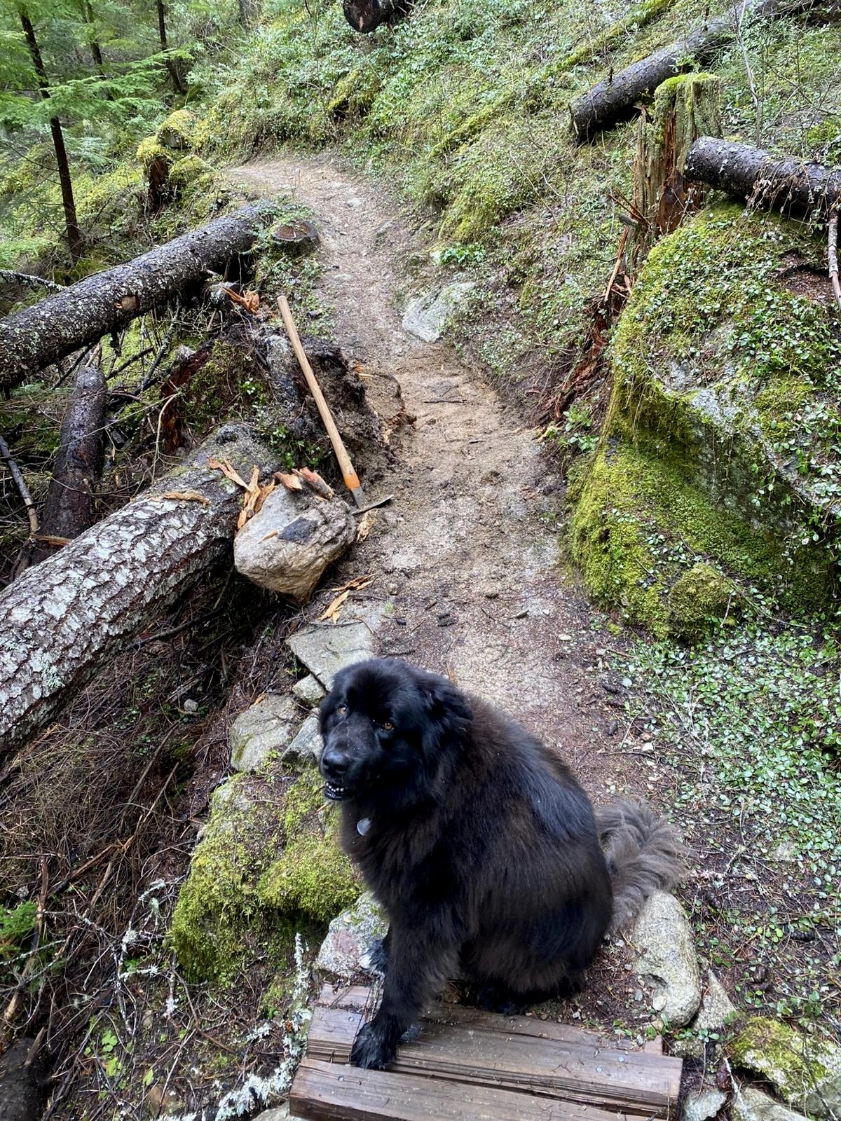 Trails Update: April 17, 2026