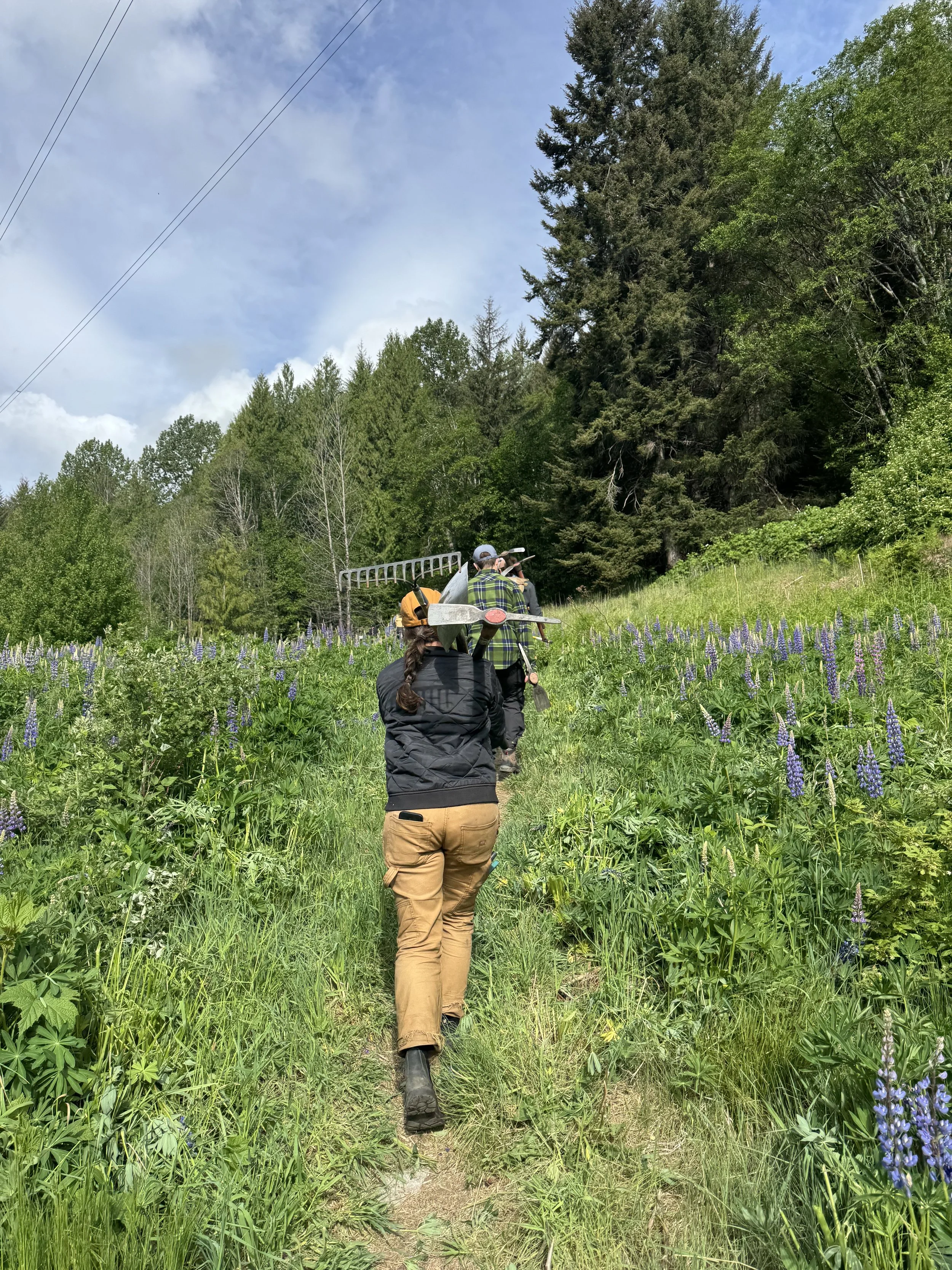 Trails Update: May 29, 2026