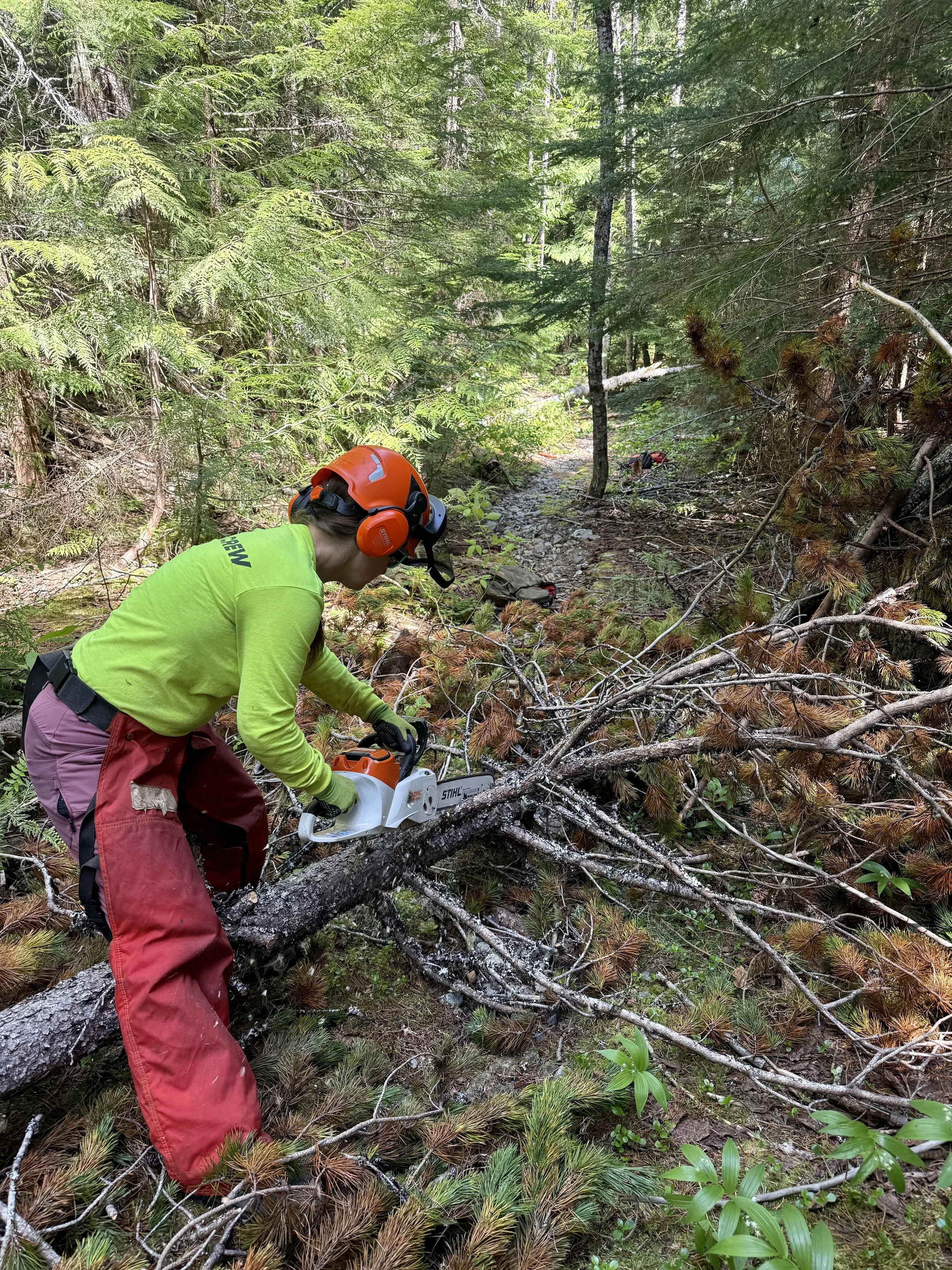 Trails Update: June 5, 2026