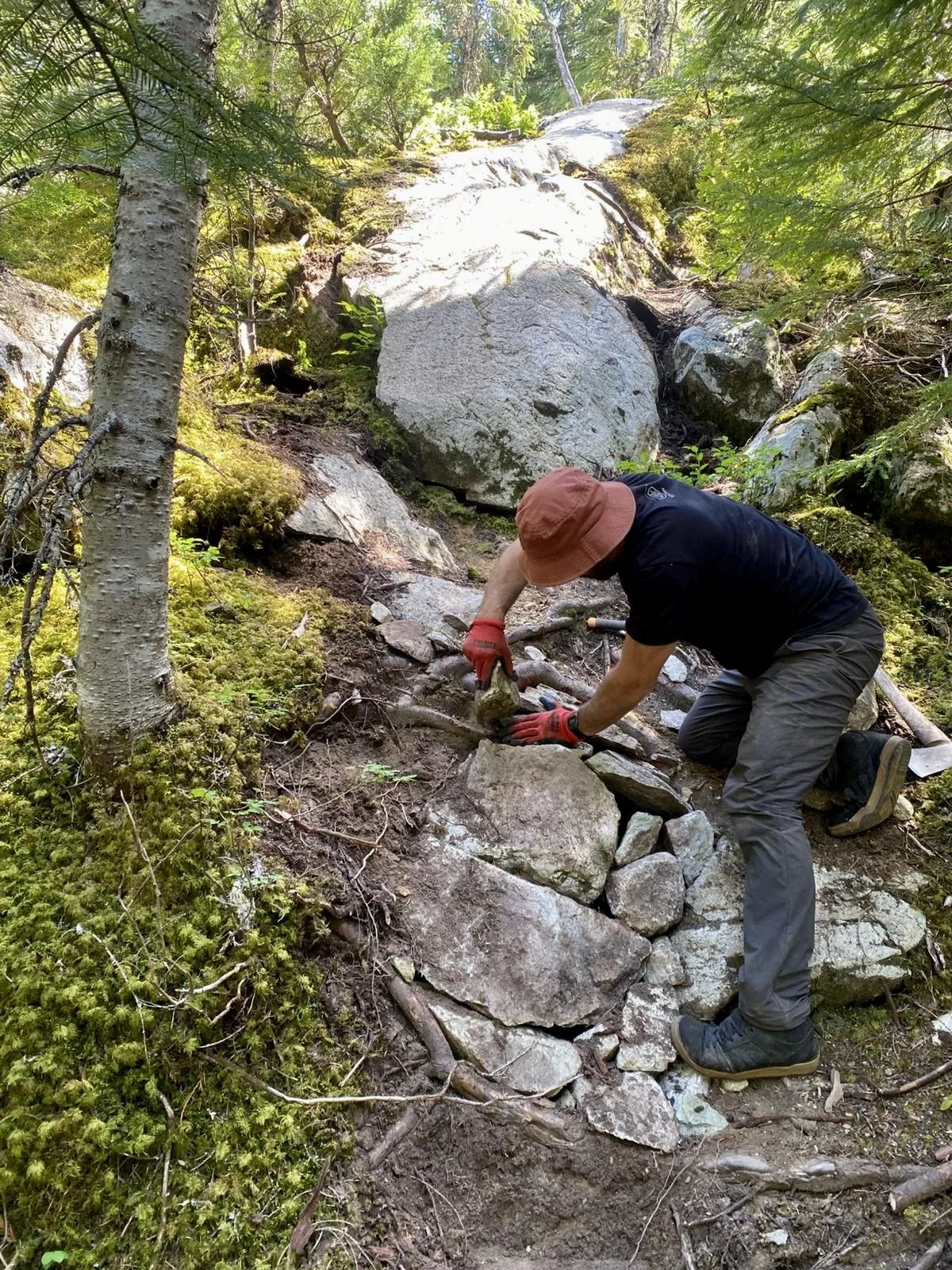 Trails Update: June 19, 2026