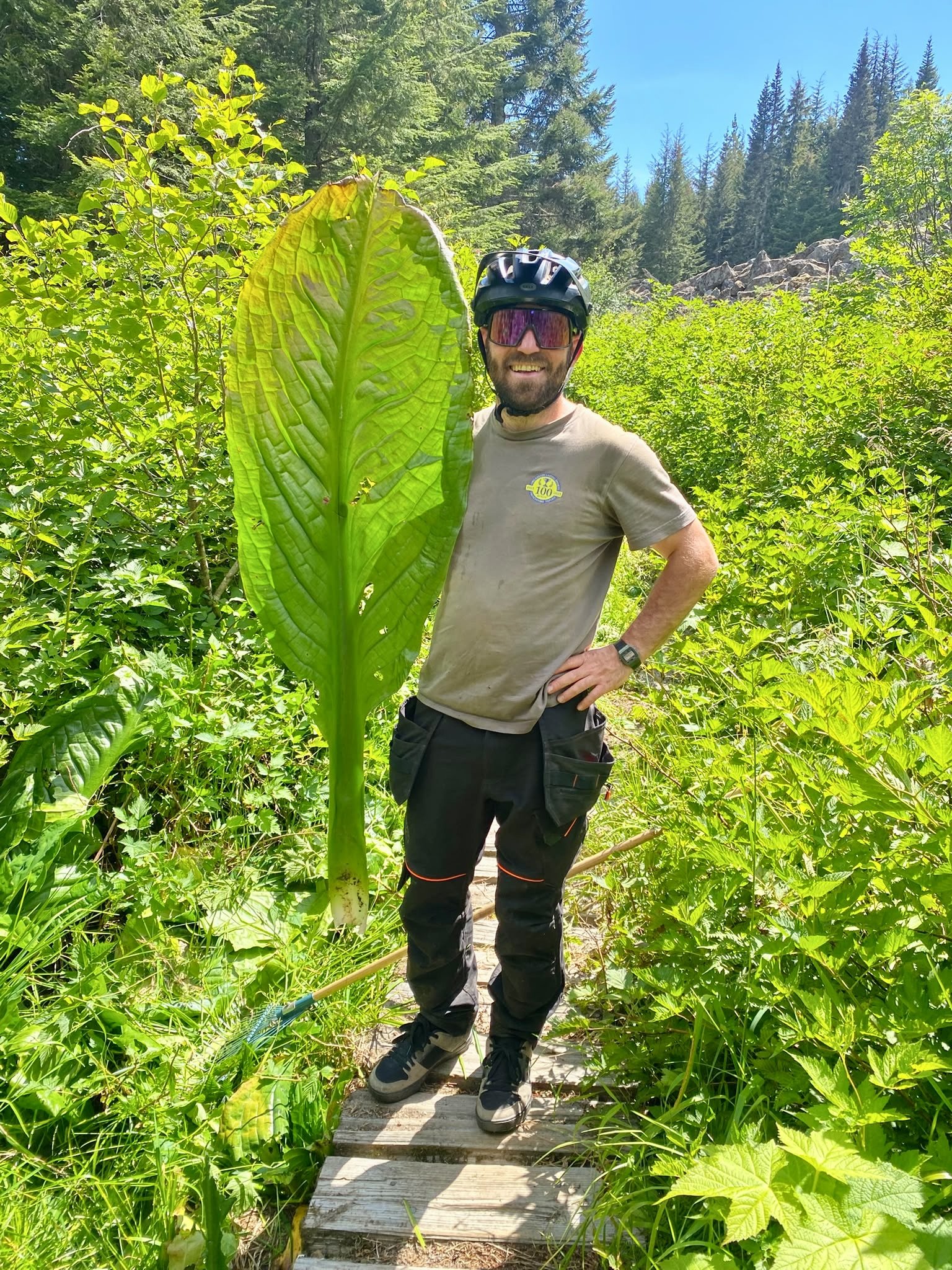 Trails Update: July 17, 2026 