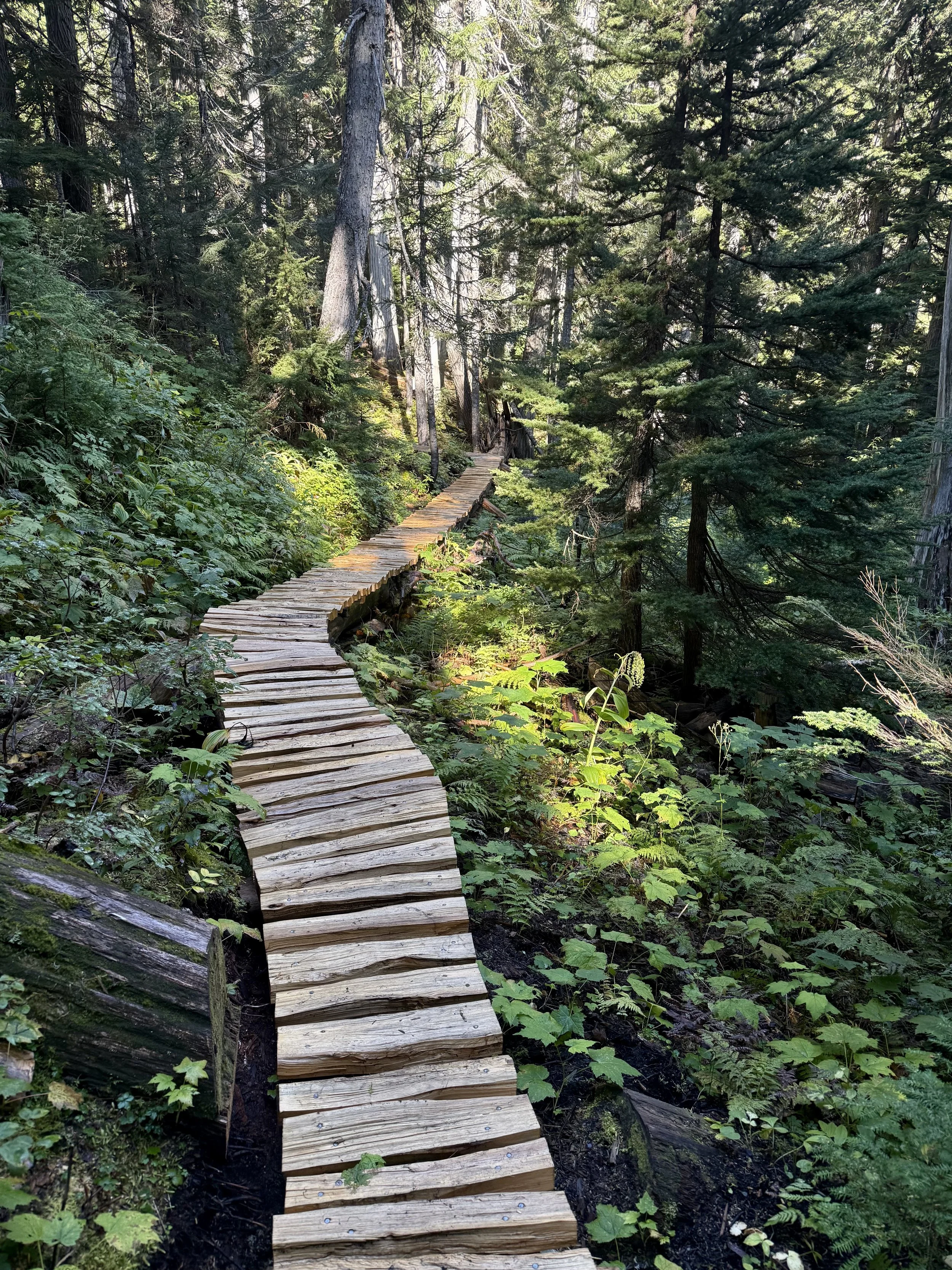 Trails Update: September 11, 2026
