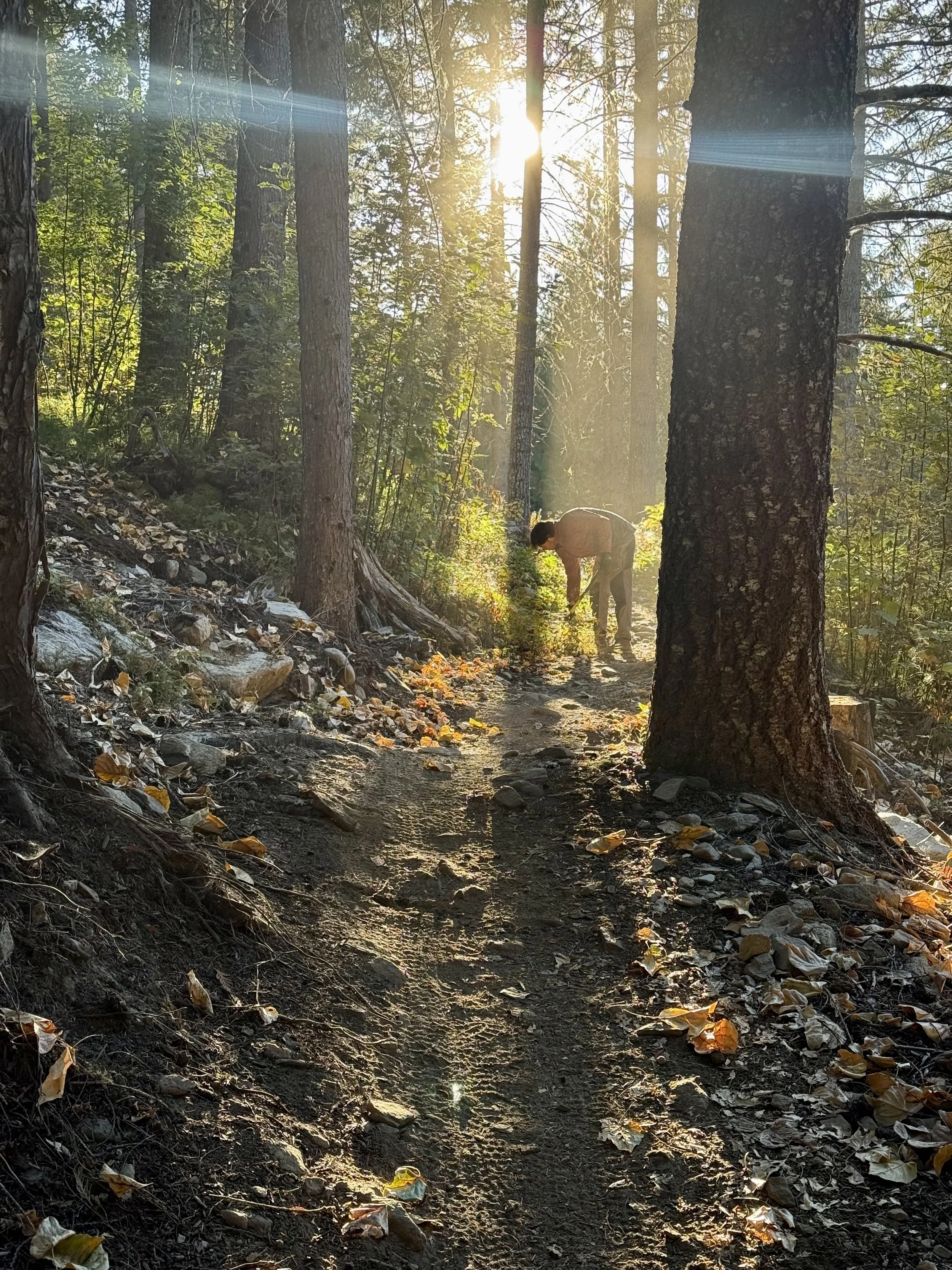 Trails Update: September 25, 2026