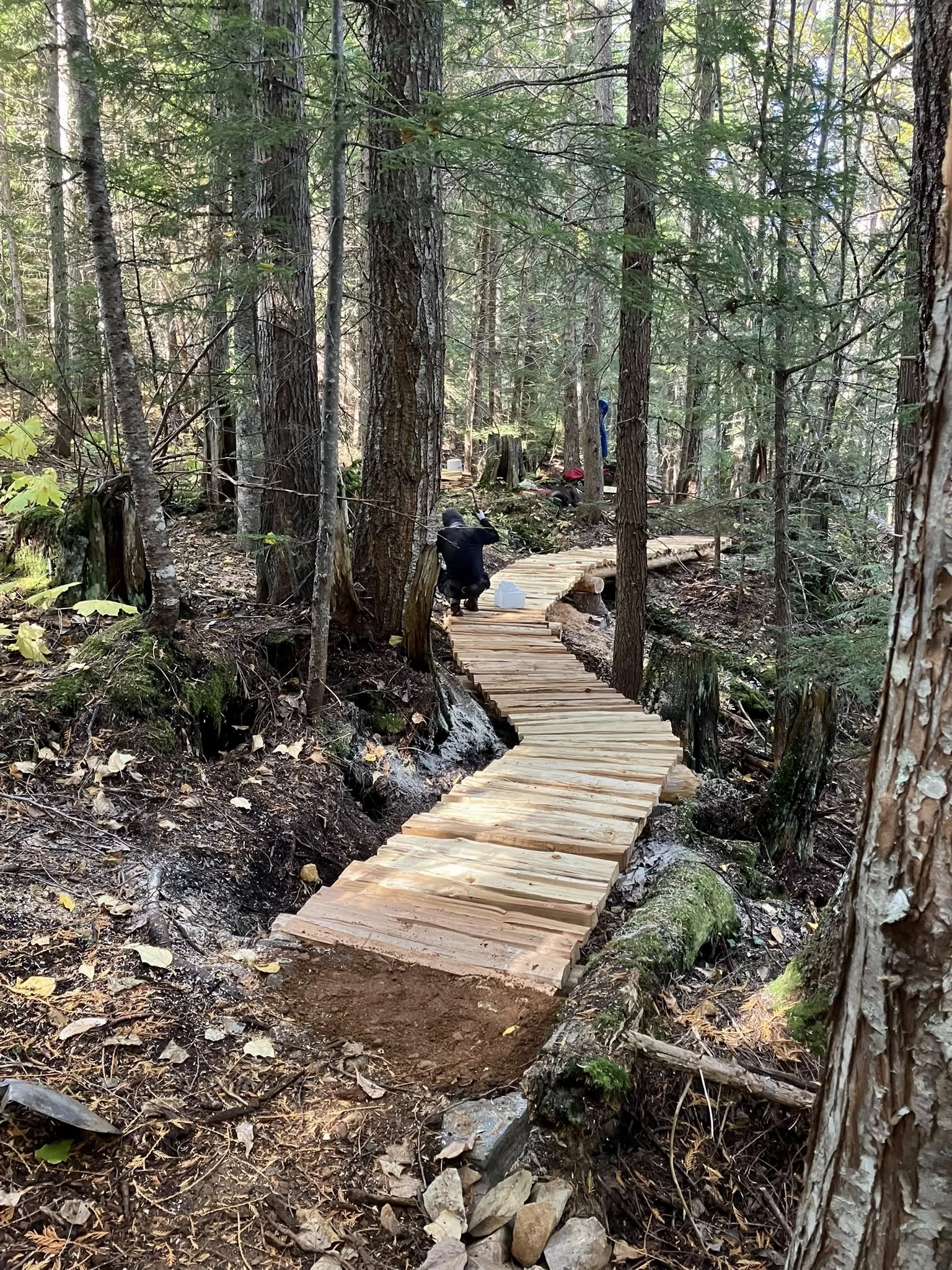 Trails Update: October 16, 2026