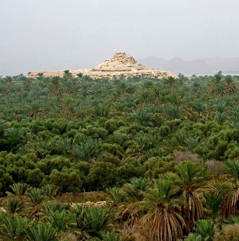 SIWA OASIS