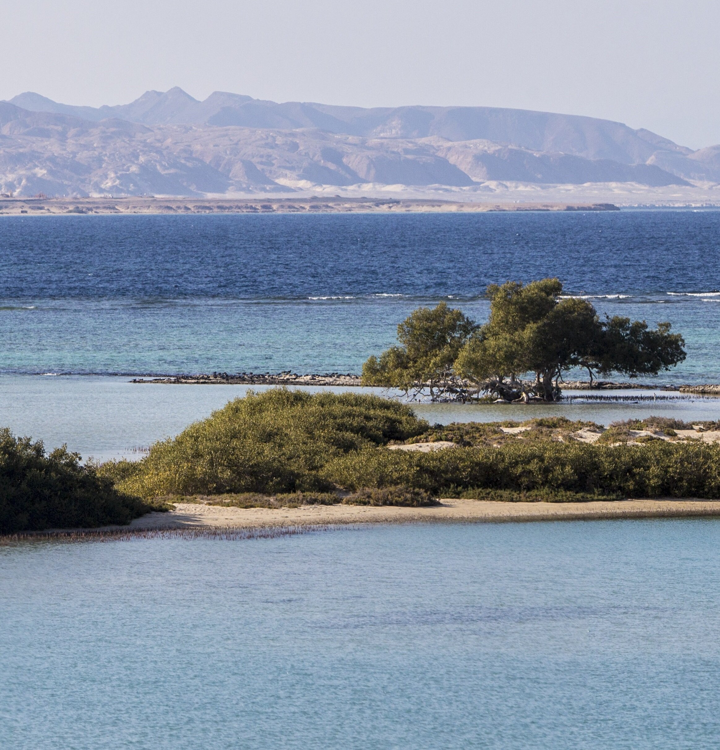 RED SEA