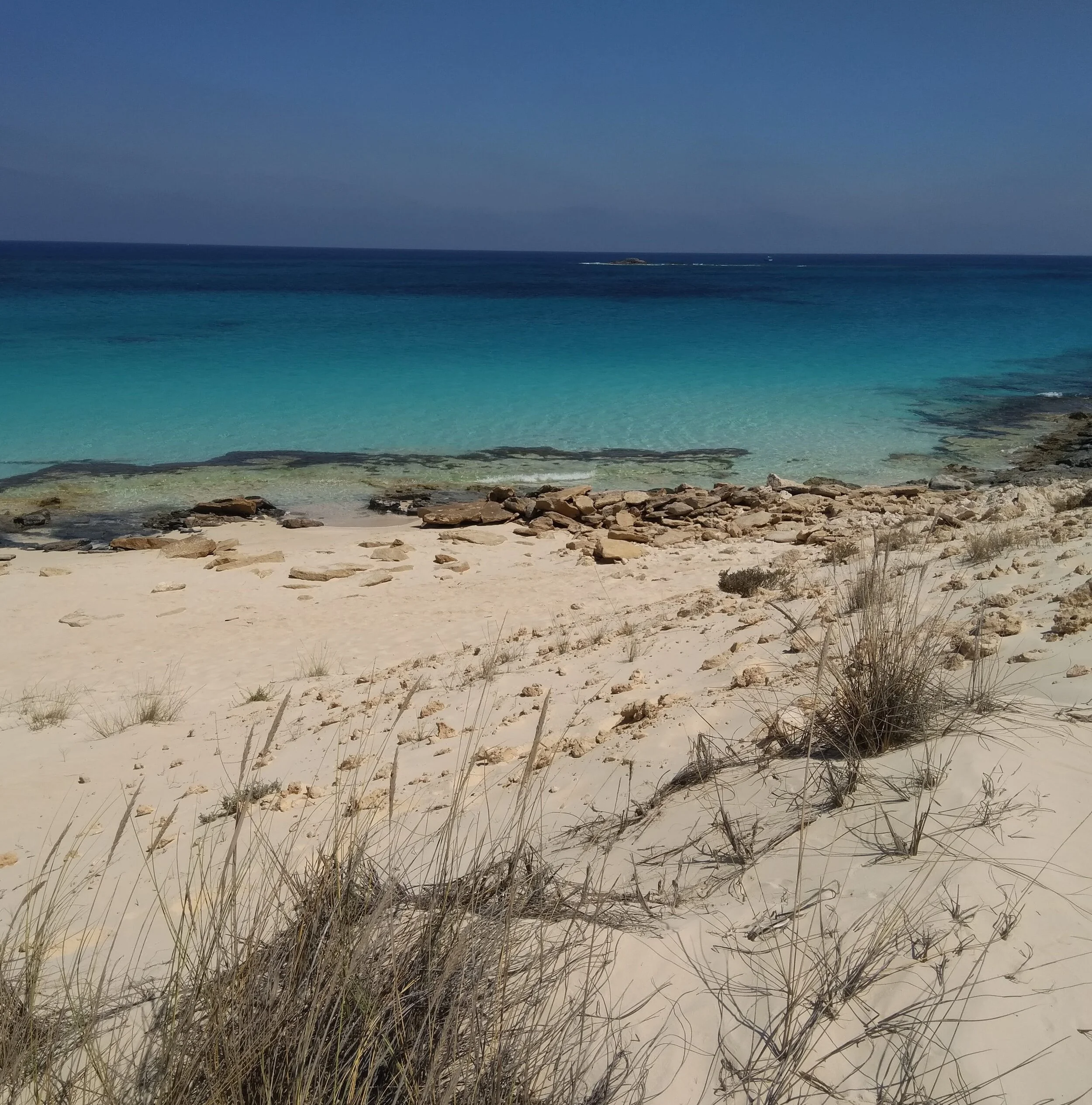 NORTH COAST