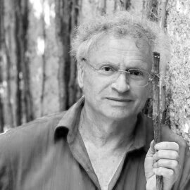 Johann Strutz