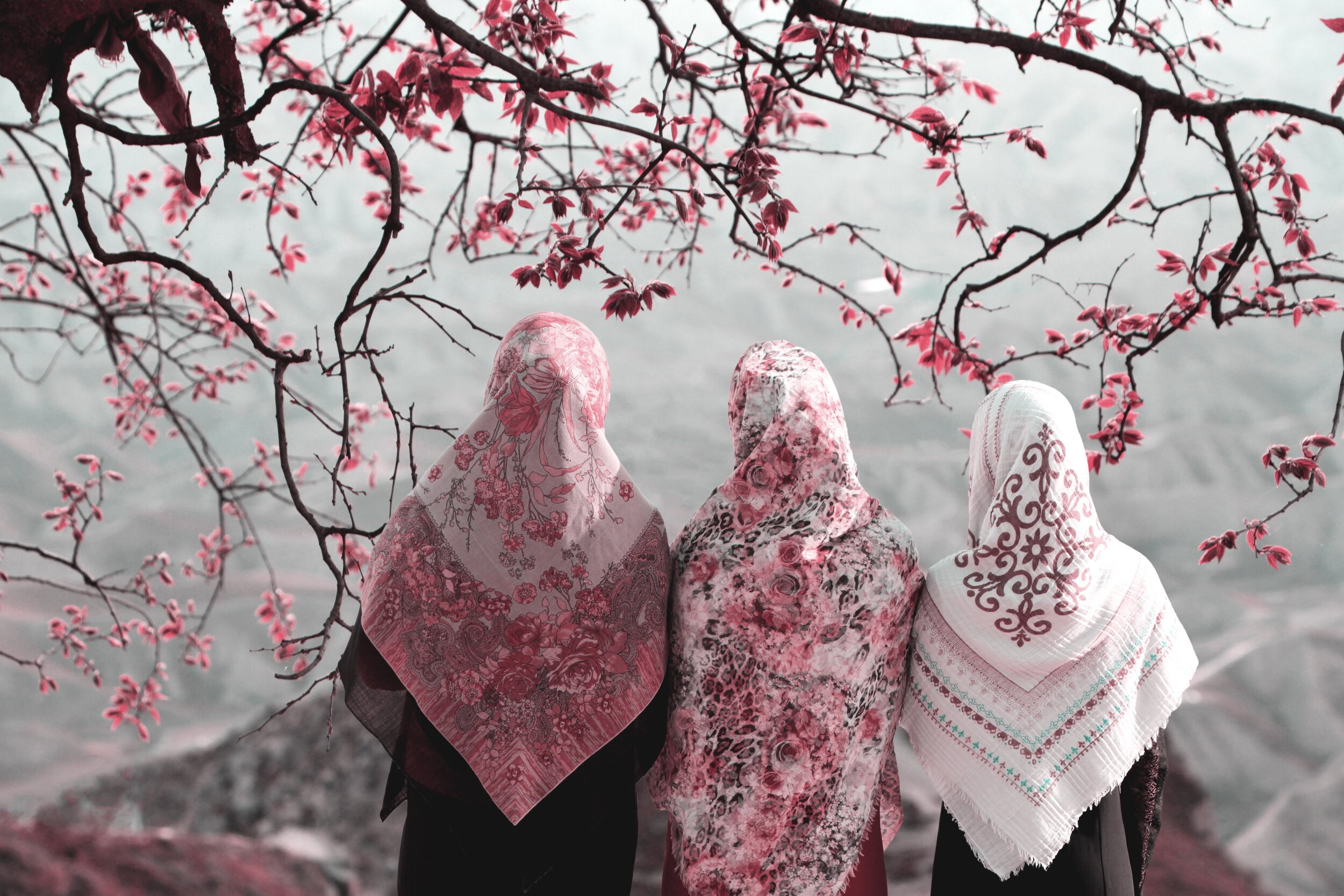 The Changing Roles of Women in Islam