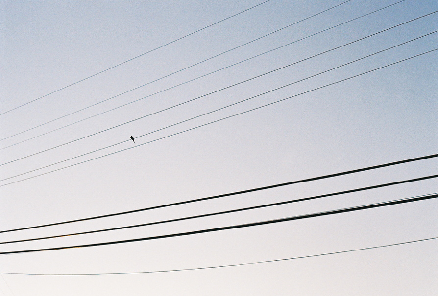 Screen Shot 2021-01-19 at 2.53.26 PM.png