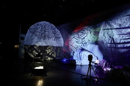 Life and Death in the Age of Climate Change