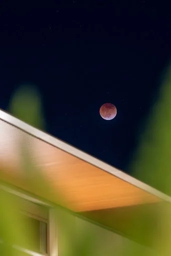 North American Eclipse