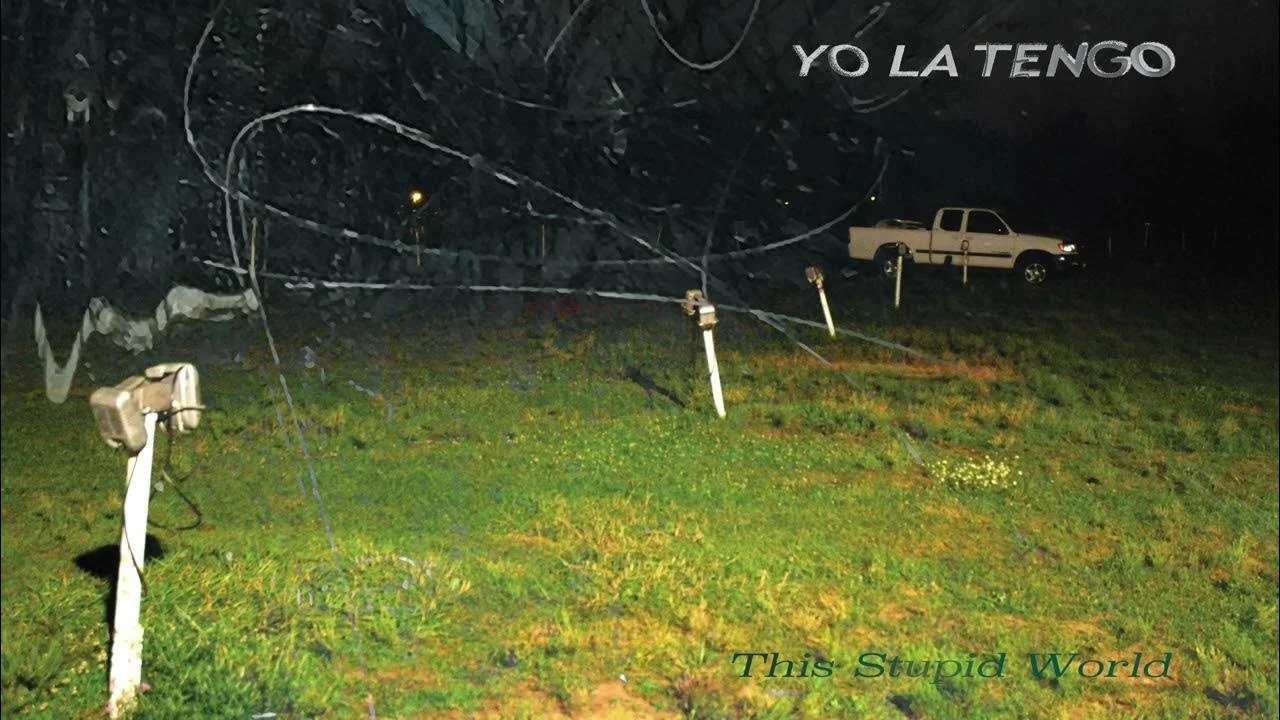 This Stupid World, Yo La Tengo