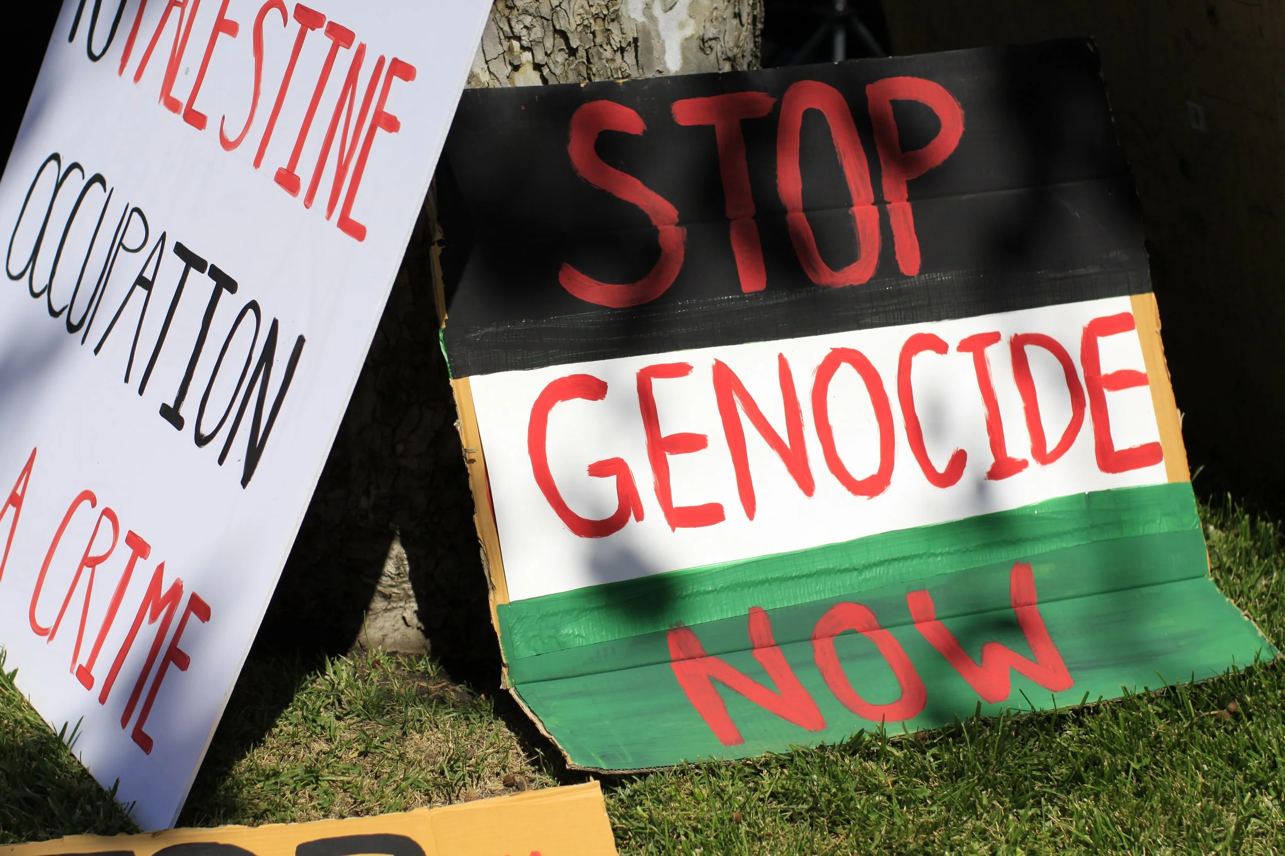 Free Palestine Slideshow 2.JPG