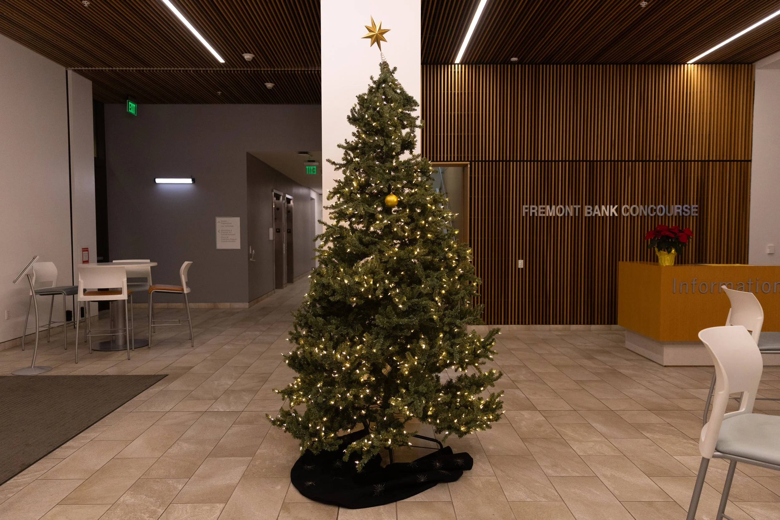 christmastree-7.jpg