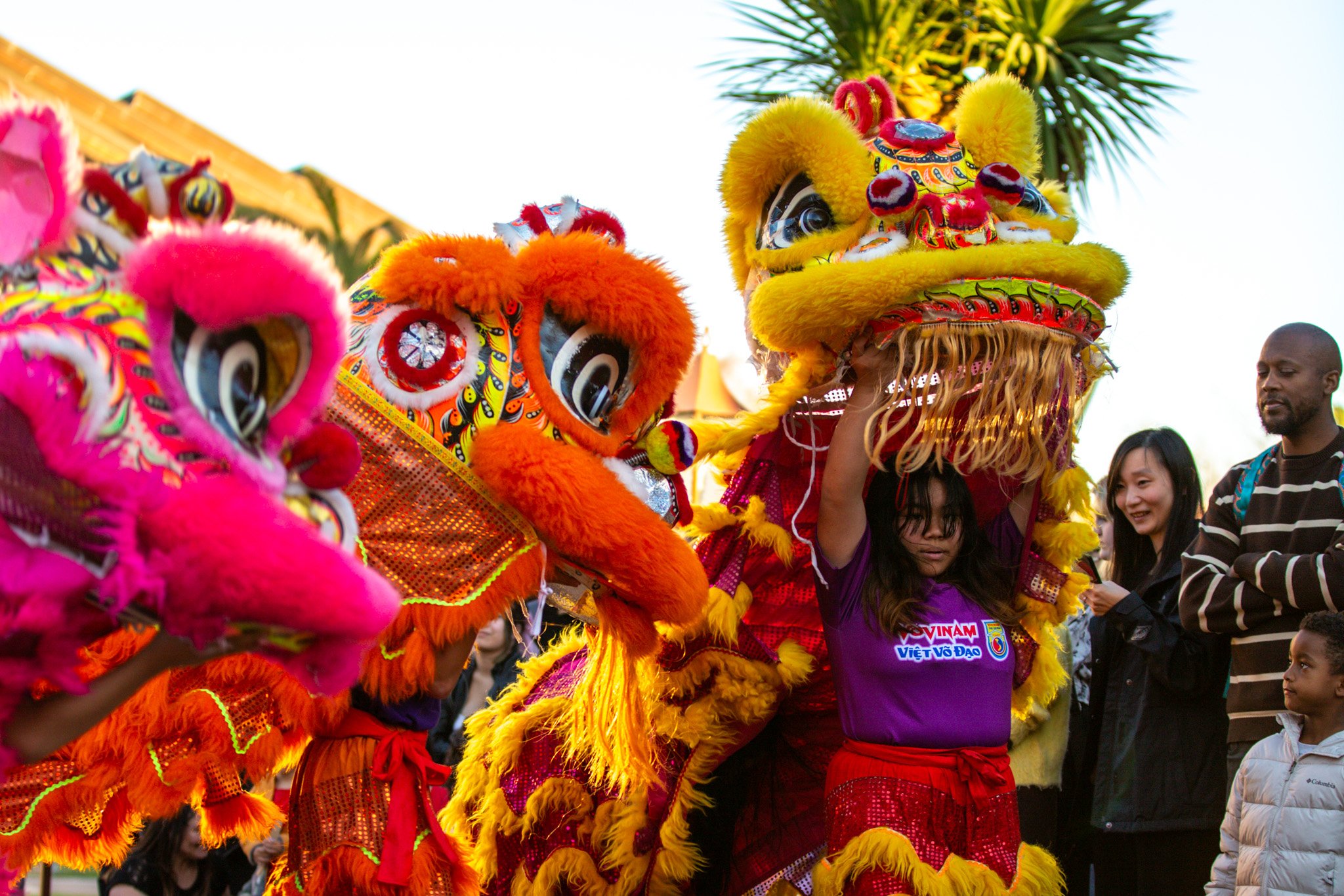 Lunar New Year Night Market Set to Open Near Campus