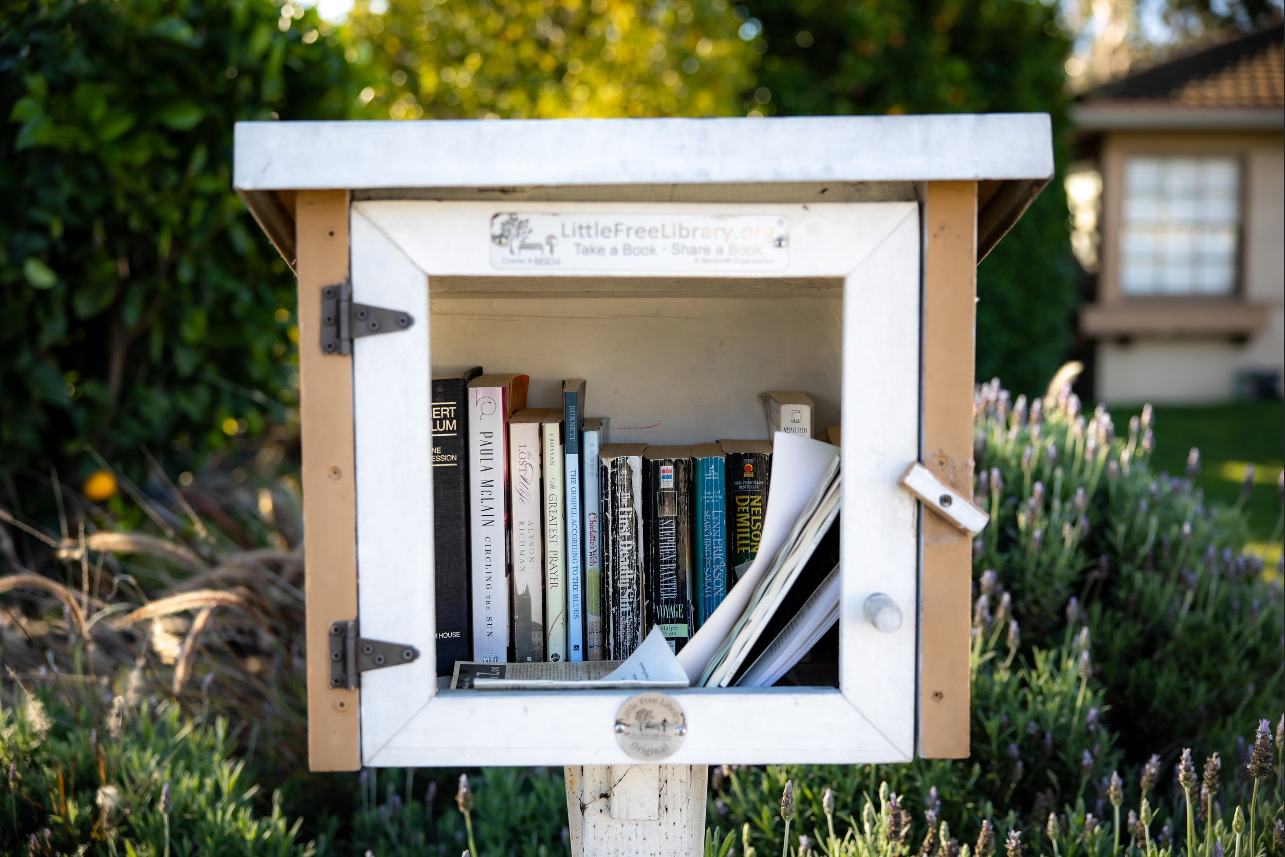 Literacy and Community through Lending Libraries
