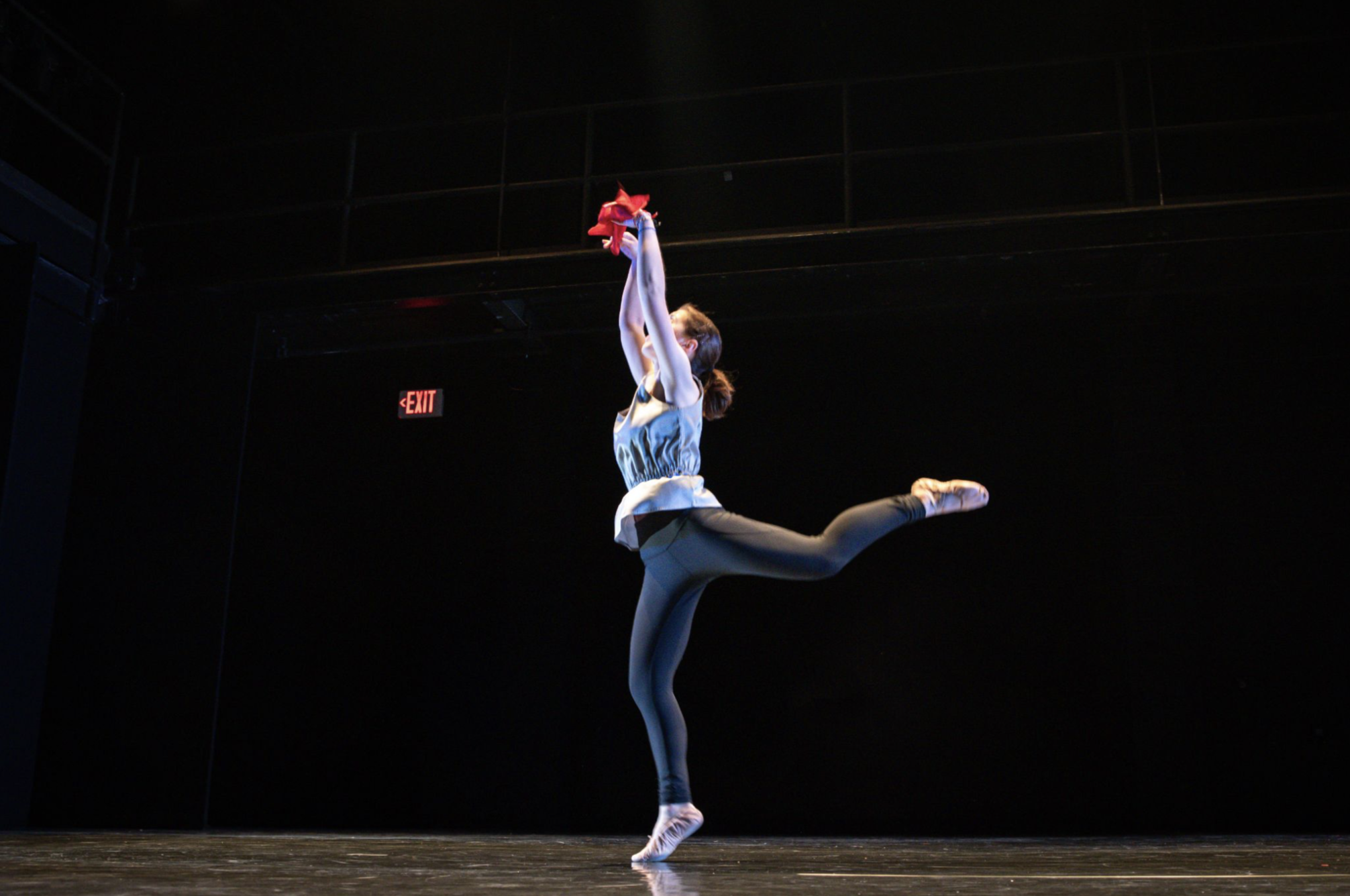 ¡Echale Ganas Muchachas!