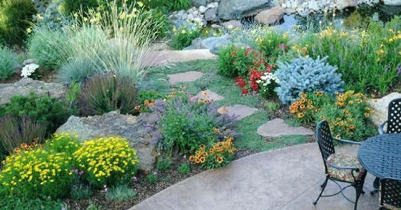 xeriscape.jpg