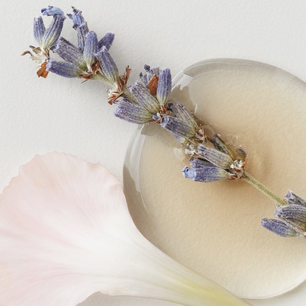 AGCARE_ColourSavour_1.jpg