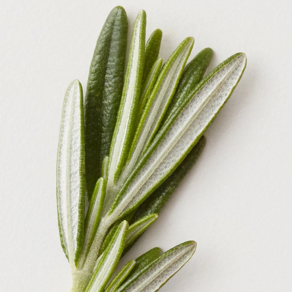 AGCARE_Stucco_4.jpg