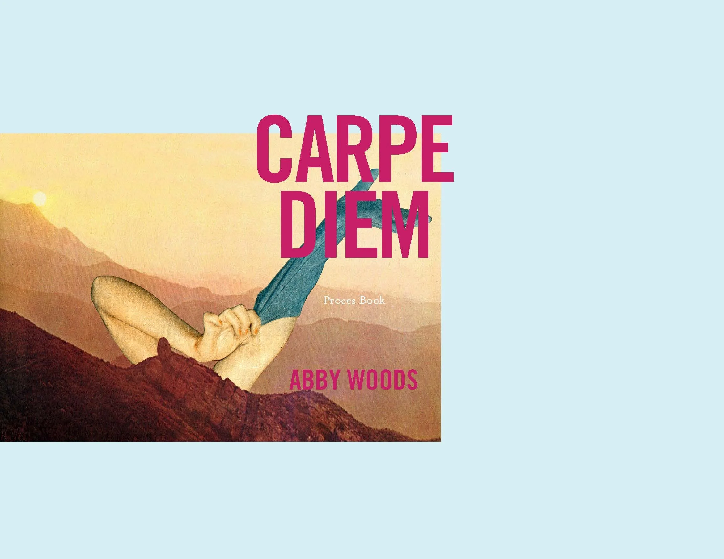 Carpe Diem_Process Book_Page_01.jpg