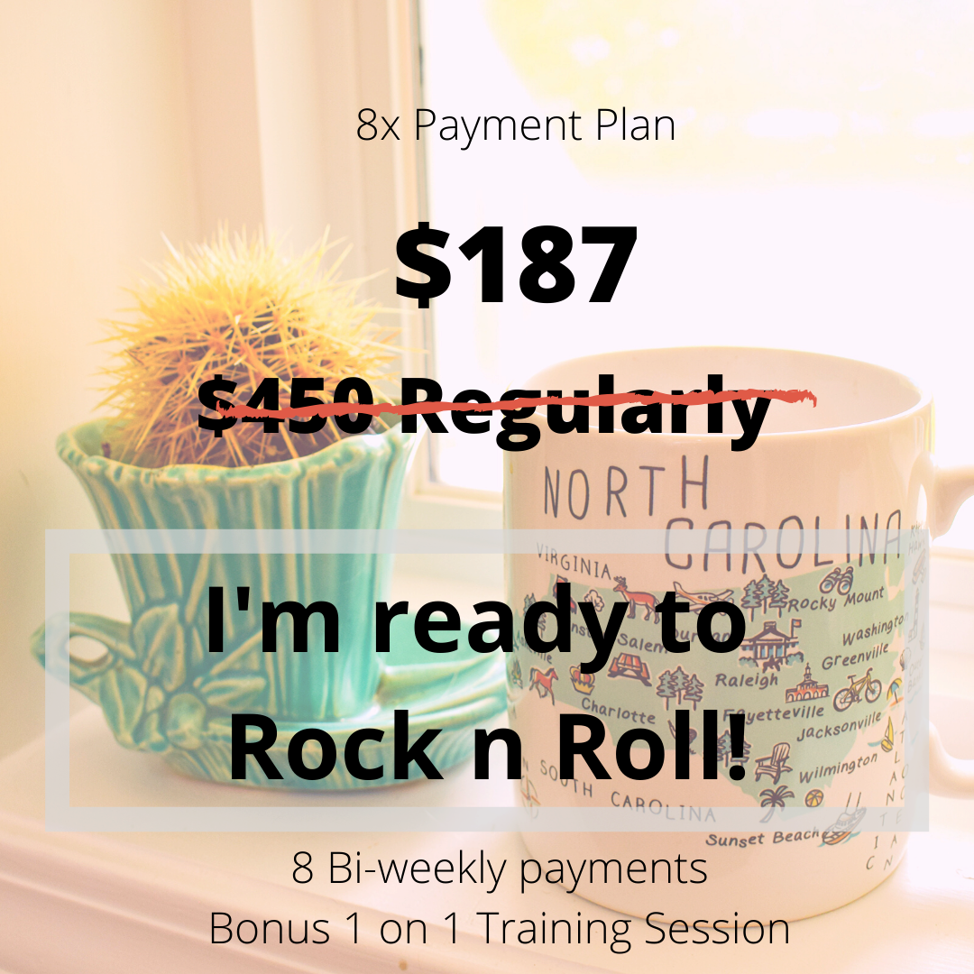 Virtual Vibes 101 - Payment Plan