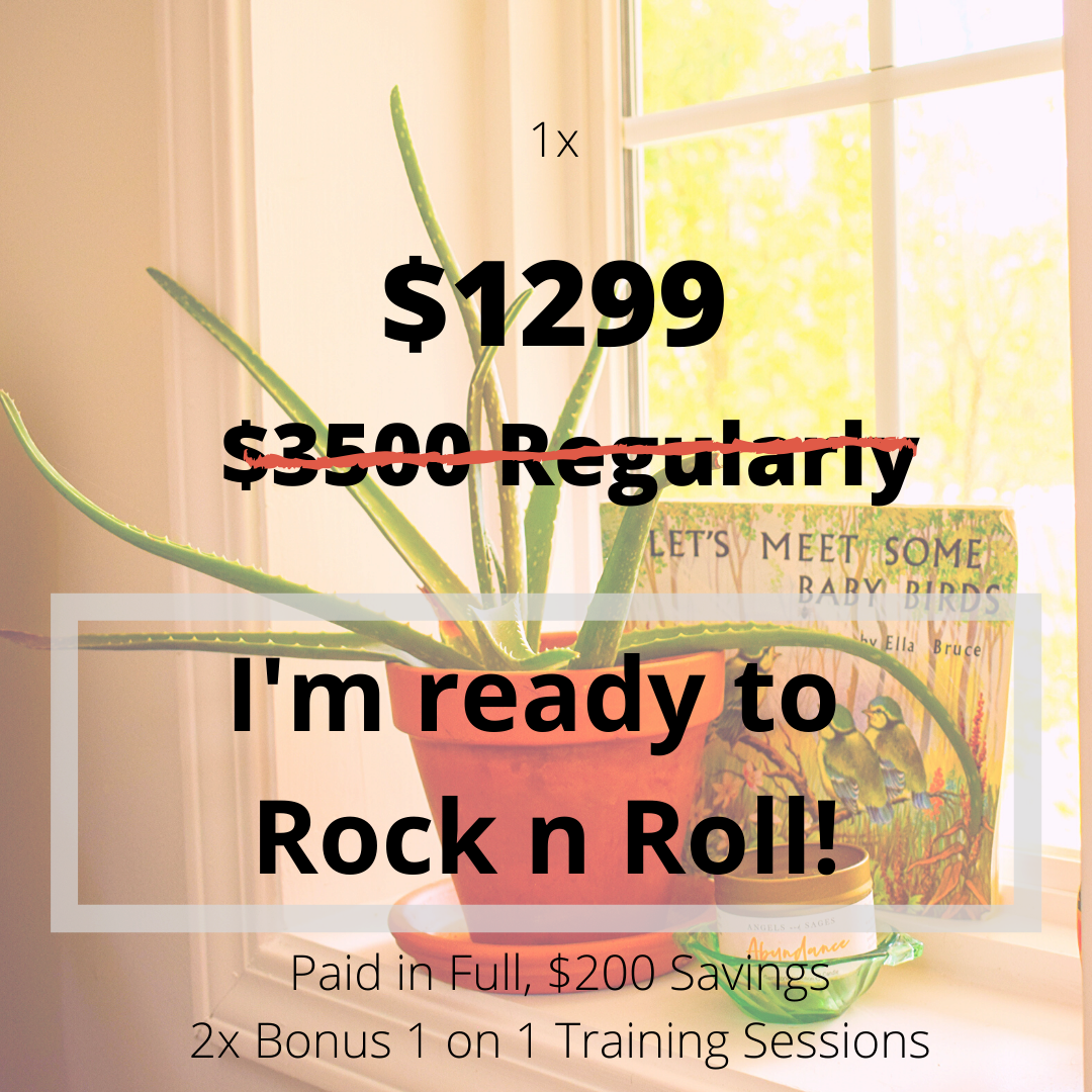 Virtual Vibes 101 - Paid in Full