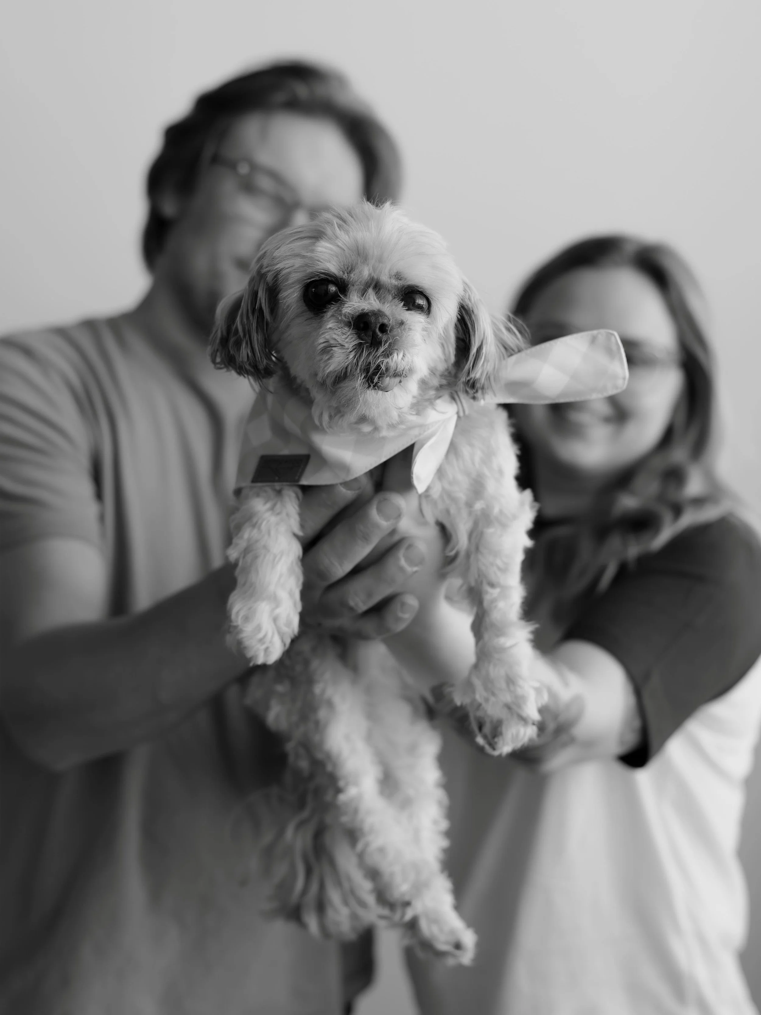 my favorite clients have four legs (and preferably a tongue hanging out) 🐾