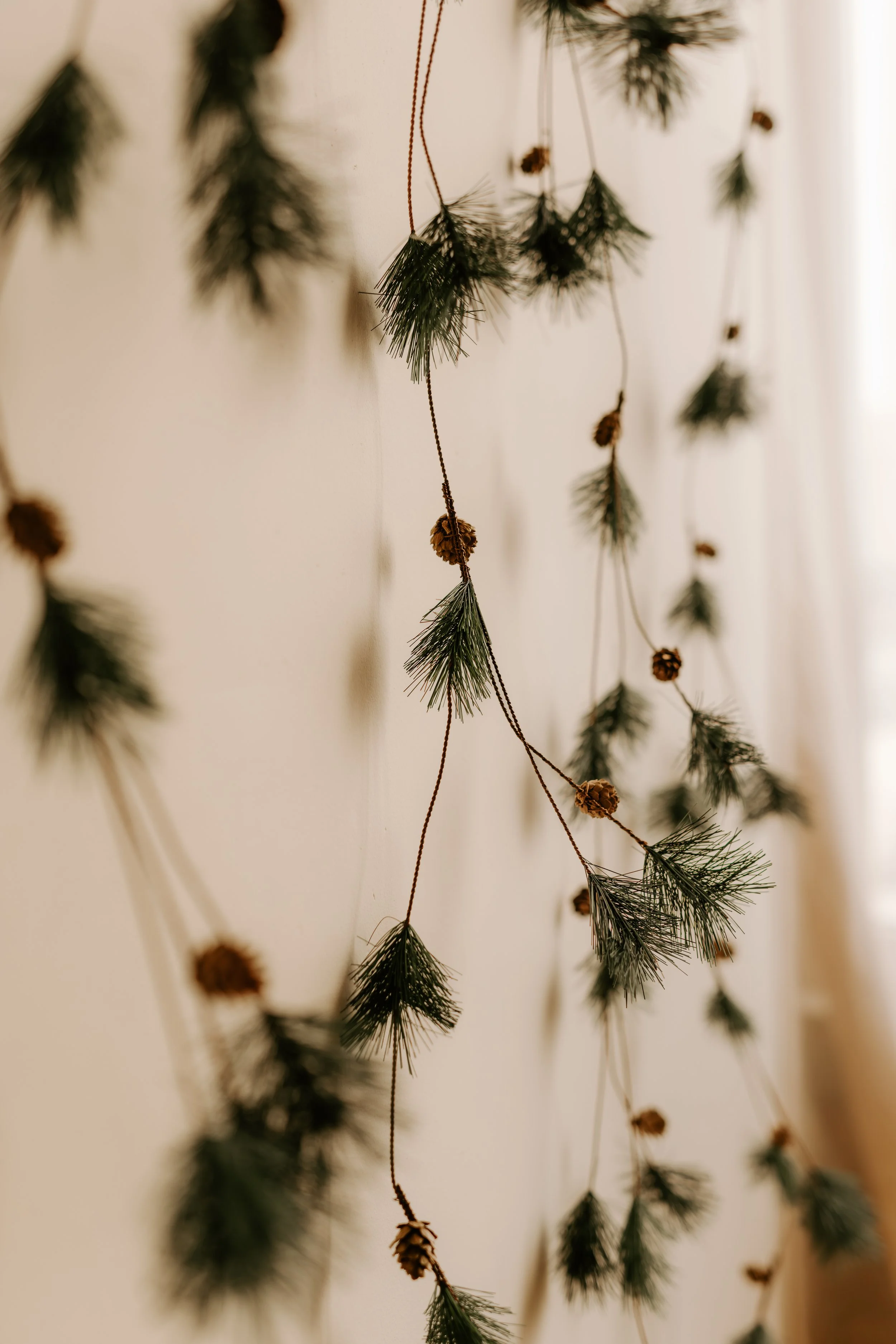 2501 Holiday Minis-1-66.JPG