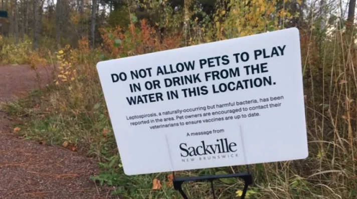Deadly Bacteria in Ponds and Lakes