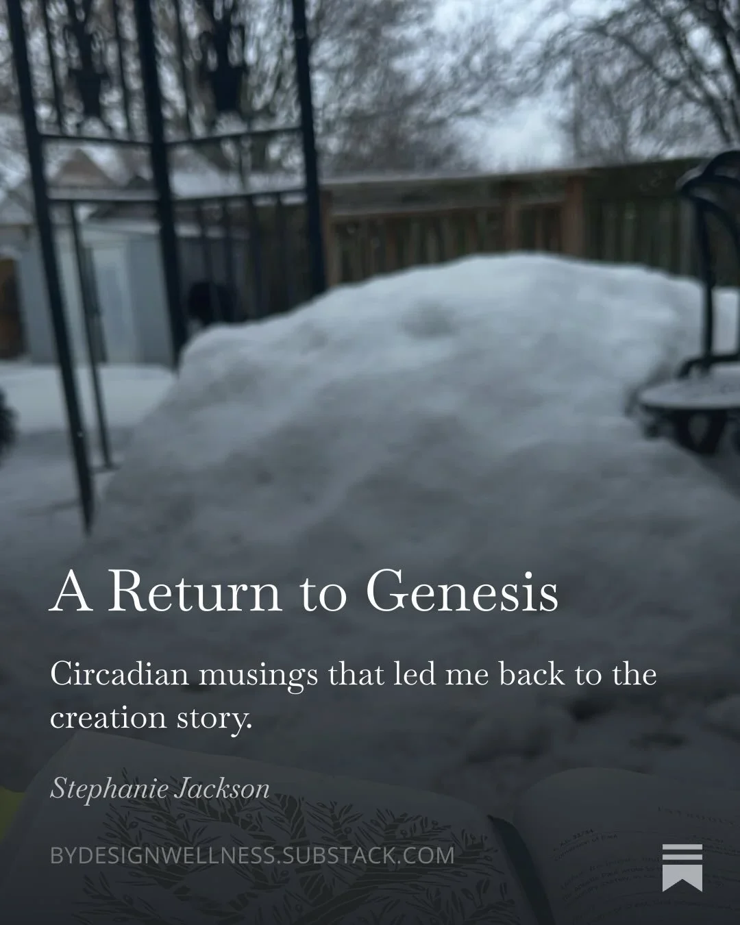 A Return to Genesis: circadian musings that led me back to the creation story.

My personal health journey and career in holistic wellness has been very full circle, quite literally. I remember my very first workshop that I taught, there were two peo