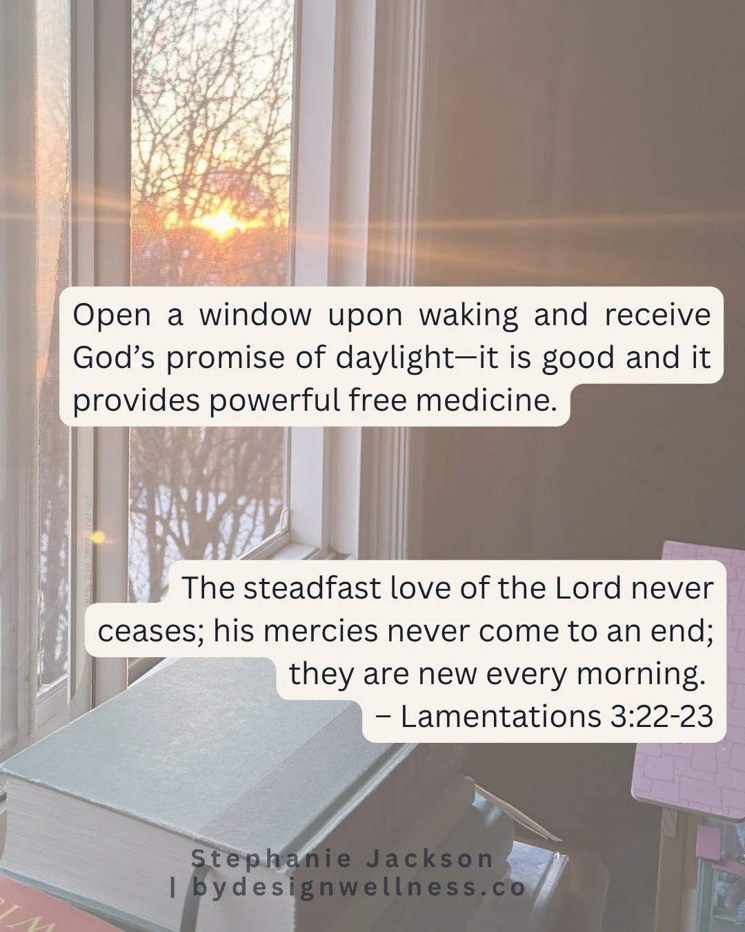 A Year of Sunrise and Scripture ❤️ 🙏

#sunriseandscripture #aruleoflife #dailydevotional #circadianwellness #metabolicwellness