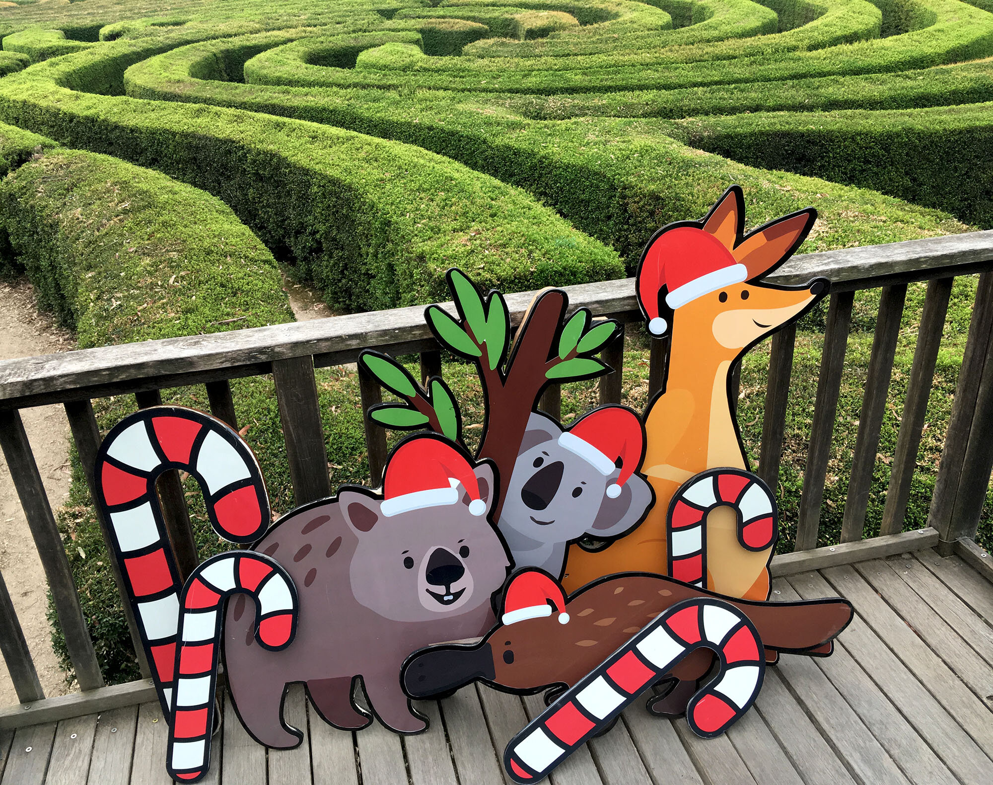 the Christmas Treasure hunt is on