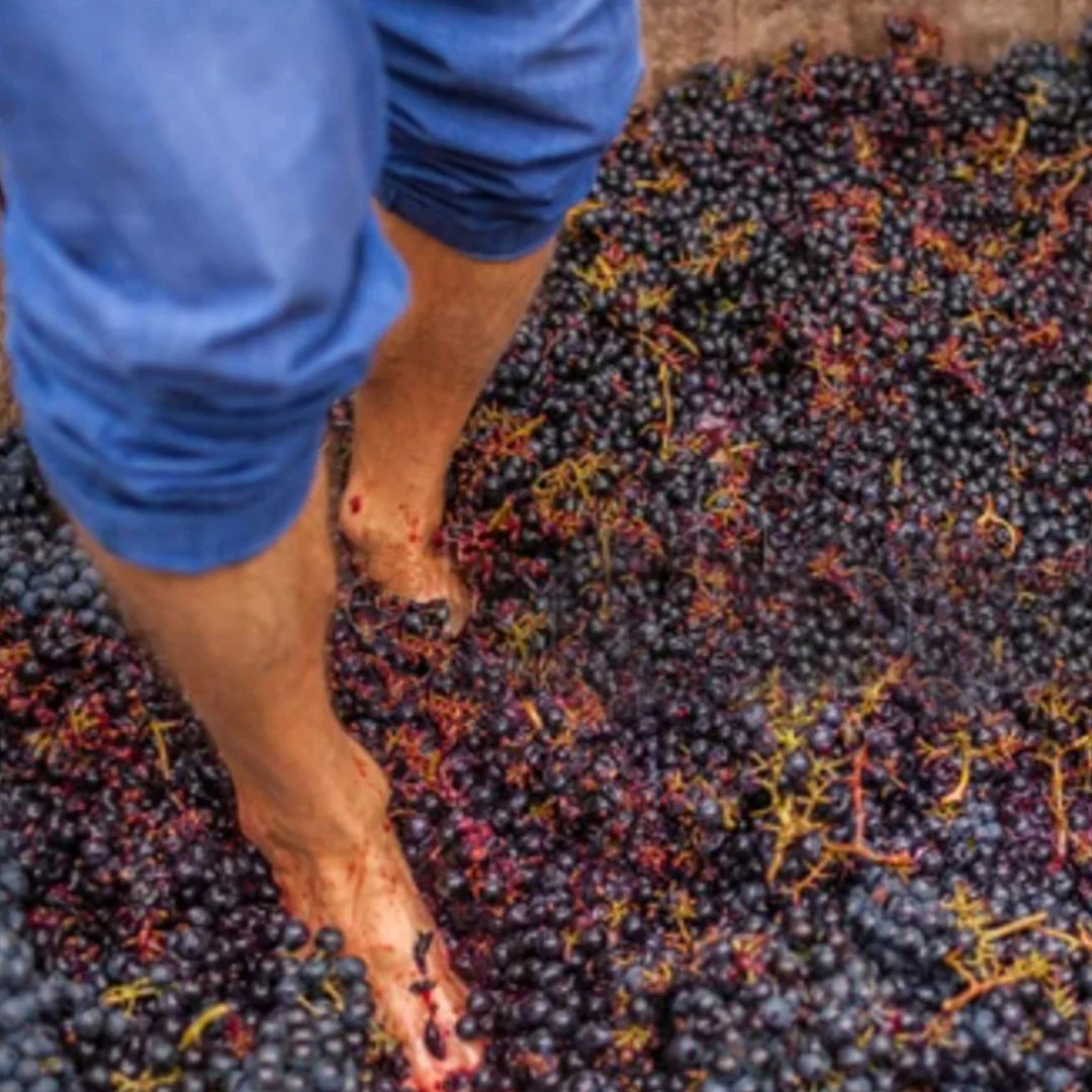 Bago Grape Stomp &amp; Music Day - Ticketed Event