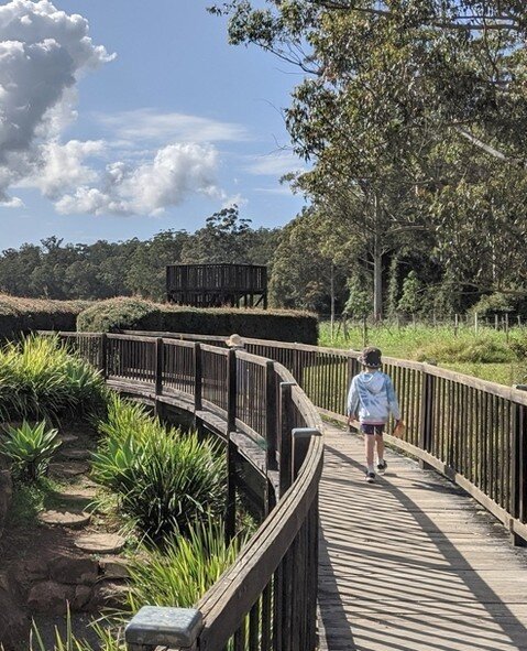 Indulge your taste buds while your little ones explore ✨Join us for an enchanting wine tasting experience at Bago, where parents unwind and create lasting memories, while the kids embark on a delightful maze adventure! 🌿