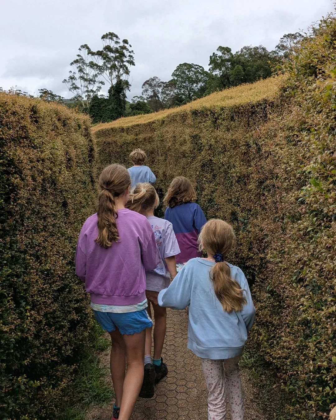 Maze_hunt1.jpg